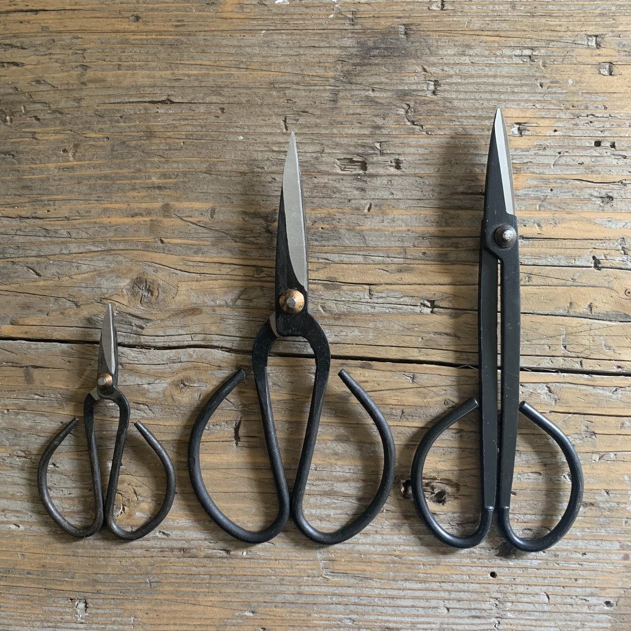 Garden scissors