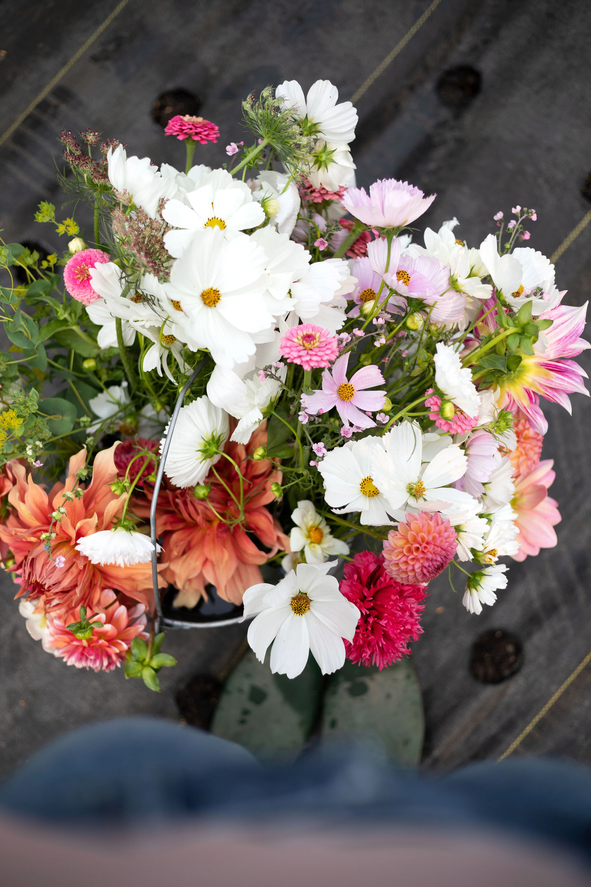 Growing A Cut Flower Garden The Grit And Polish