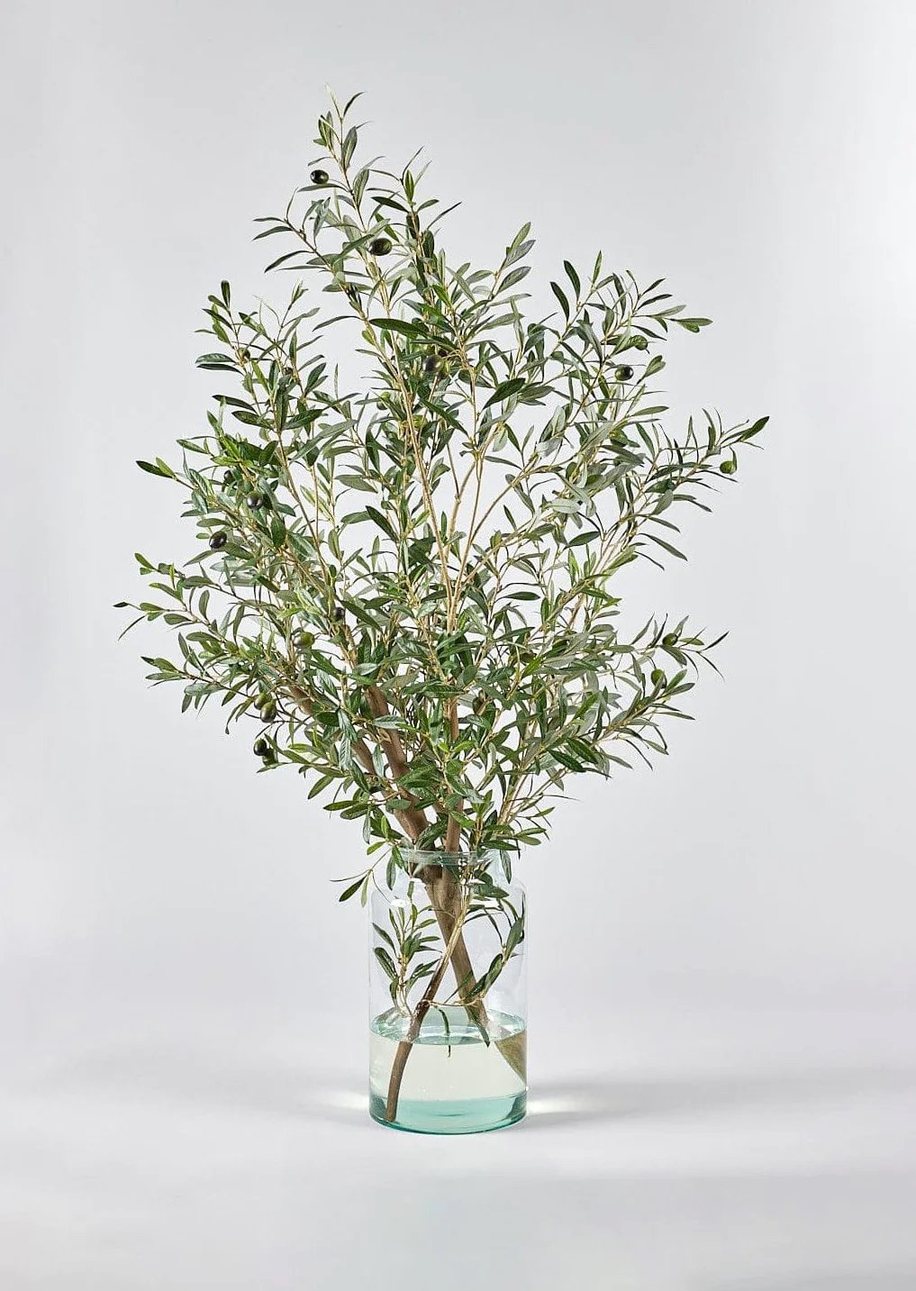 Afloral Artificial Olive Branch Arrangement in Glass Vase