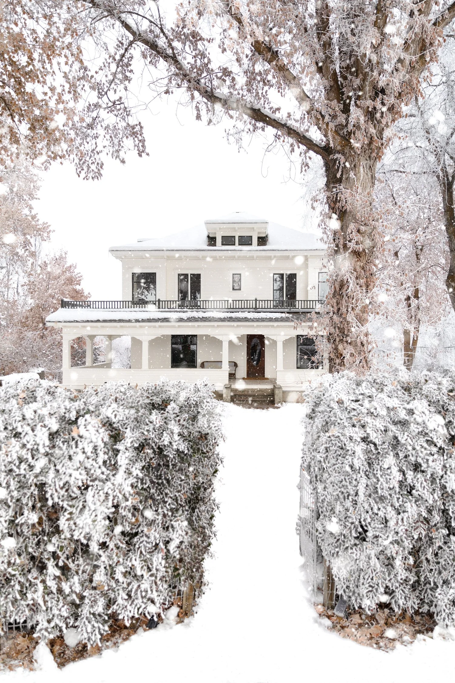 A look back at our favorite holiday moments from the Farmhouse