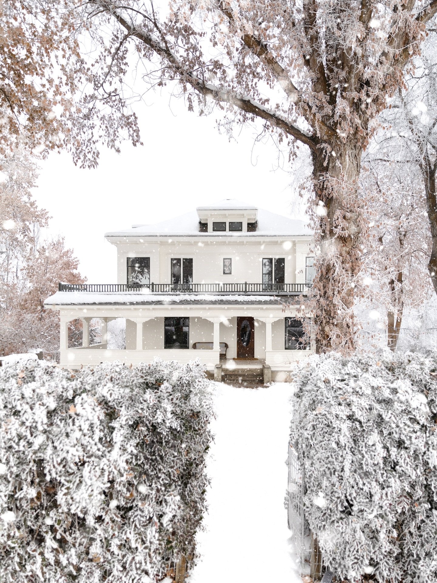 Every year around this time, I find myself missing the Farmhouse just a little ✨
Something about that white kitchen, the tall windows, and the way the whole place seemed to glow at Christmas. ✨

So here are a few of my favorite holiday moments from t