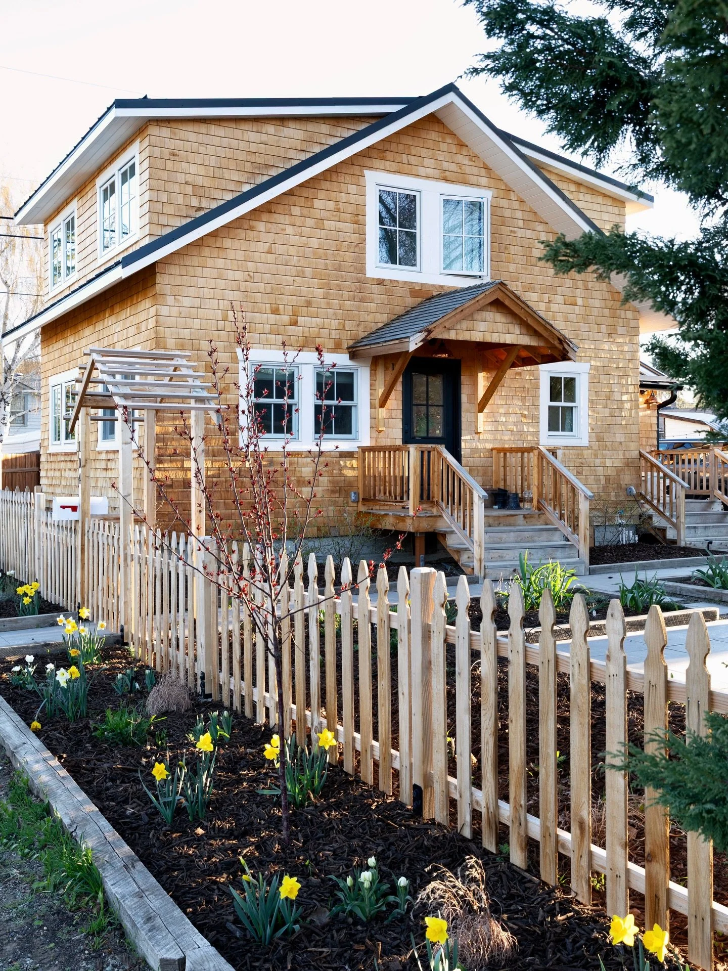 Spring at the Poplar Cottage! ☀️🌷🌱

I planted 150 bulbs last Fall (tulips, daffodils, and alliums) and they&rsquo;ve been an utter delight this Spring! My favorite are the white &lsquo;Popcorn tulips&rsquo; 🤍

Can&rsquo;t wait to watch this garden