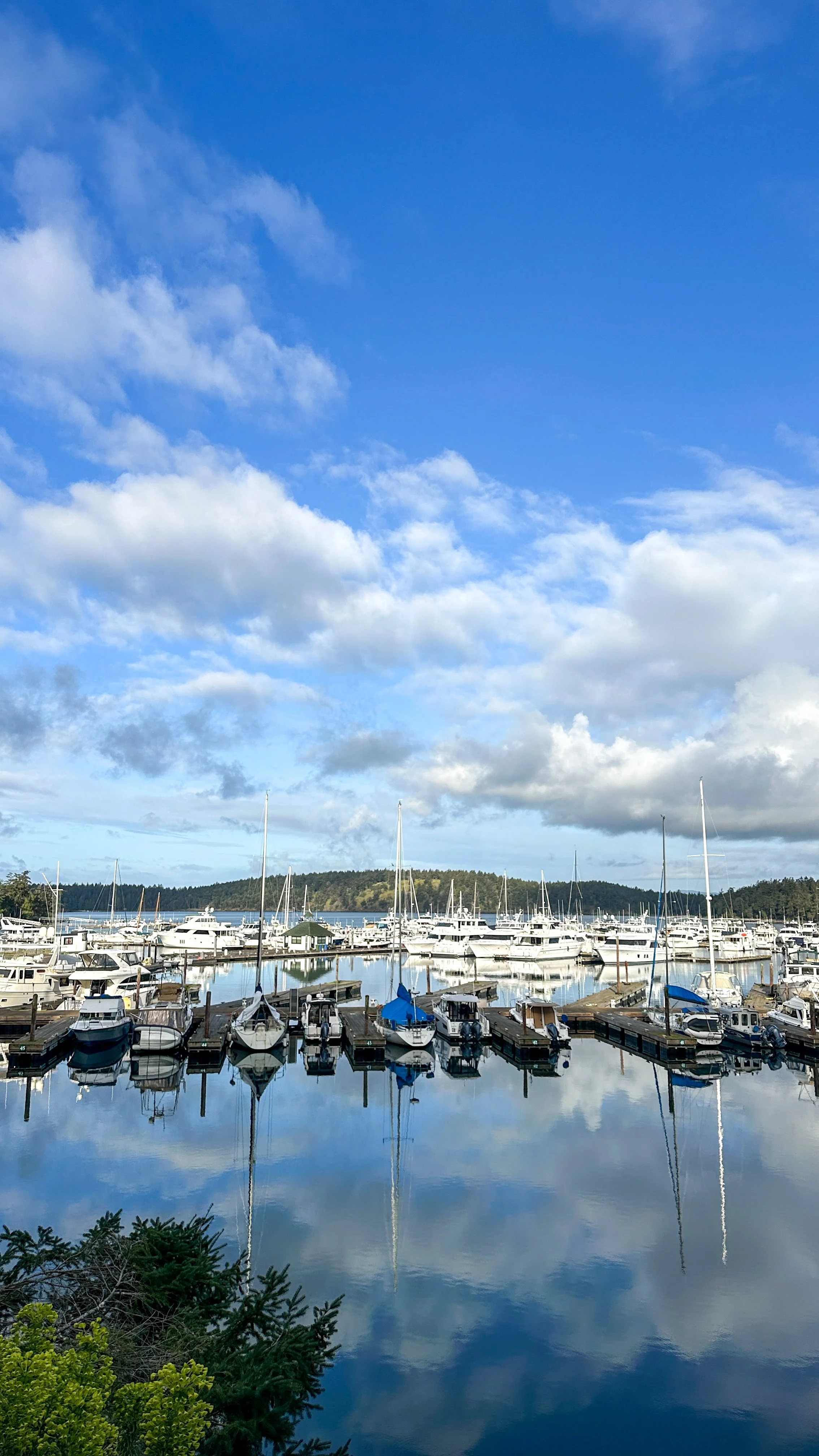 Happy Friday! The Perfect Sconce + Spring Break