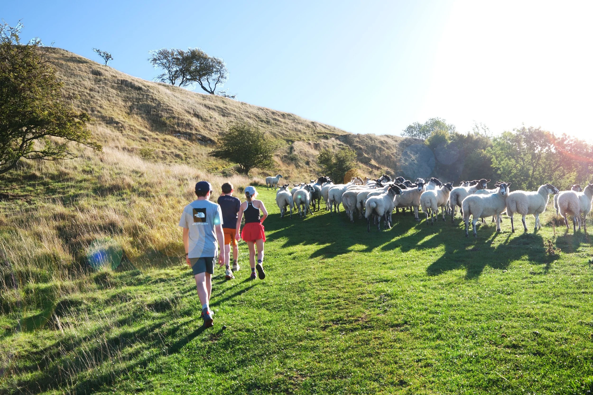 Family hiking the Cotswold Way through the English countryside with sheep