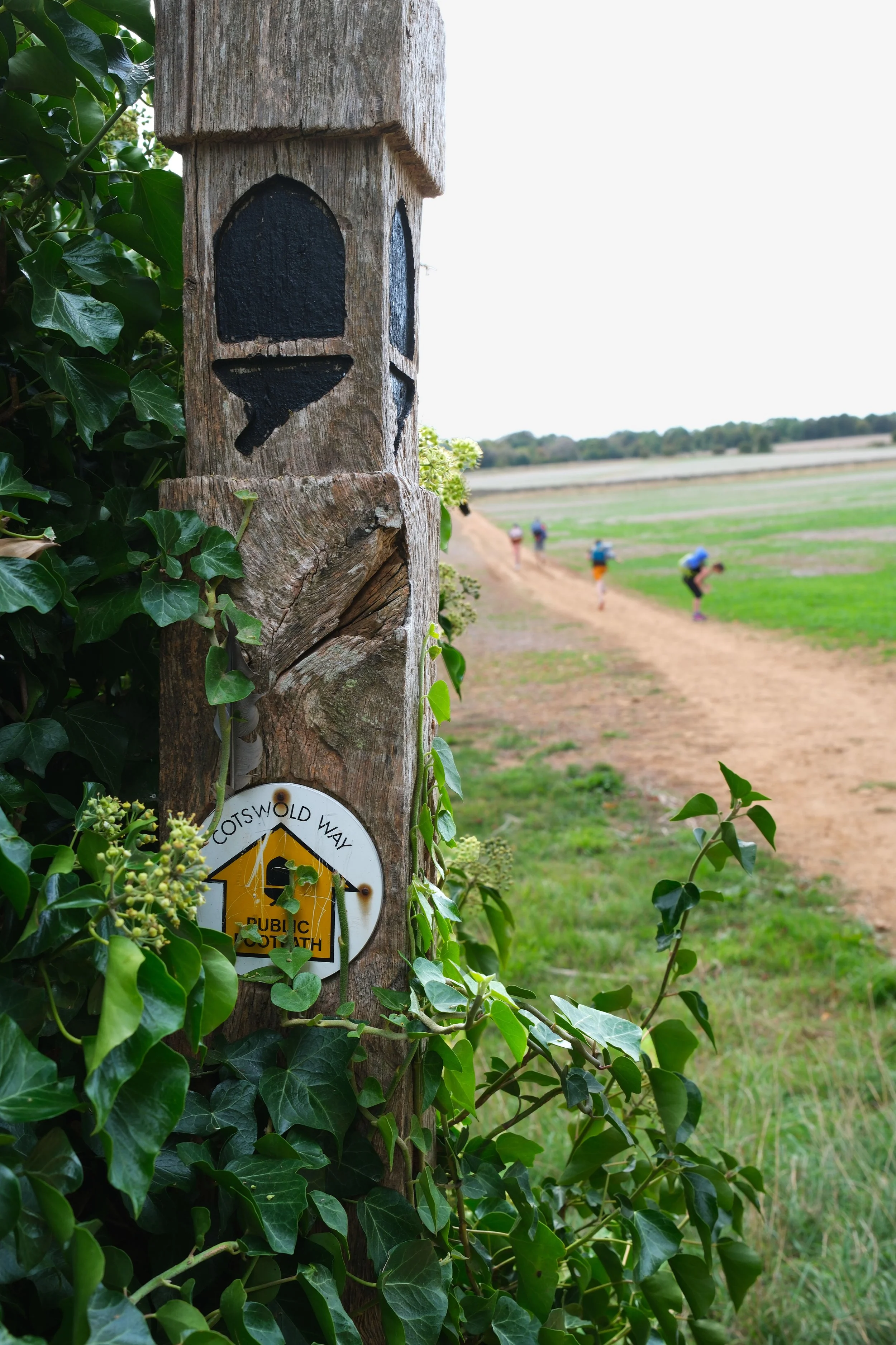 Cotswold Way National Trail sign marking the walking route in England