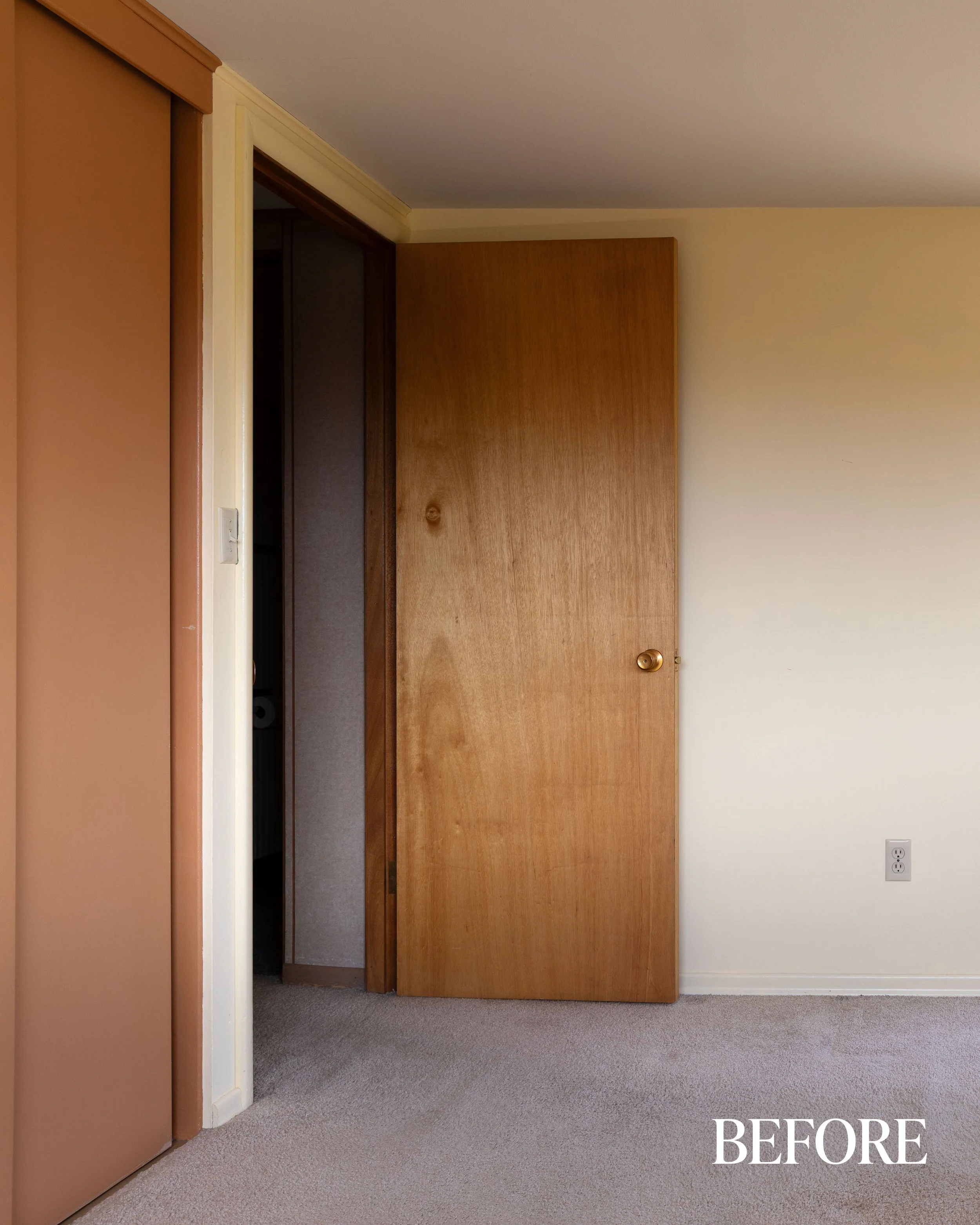 A before of the Hill House hollow-core doors