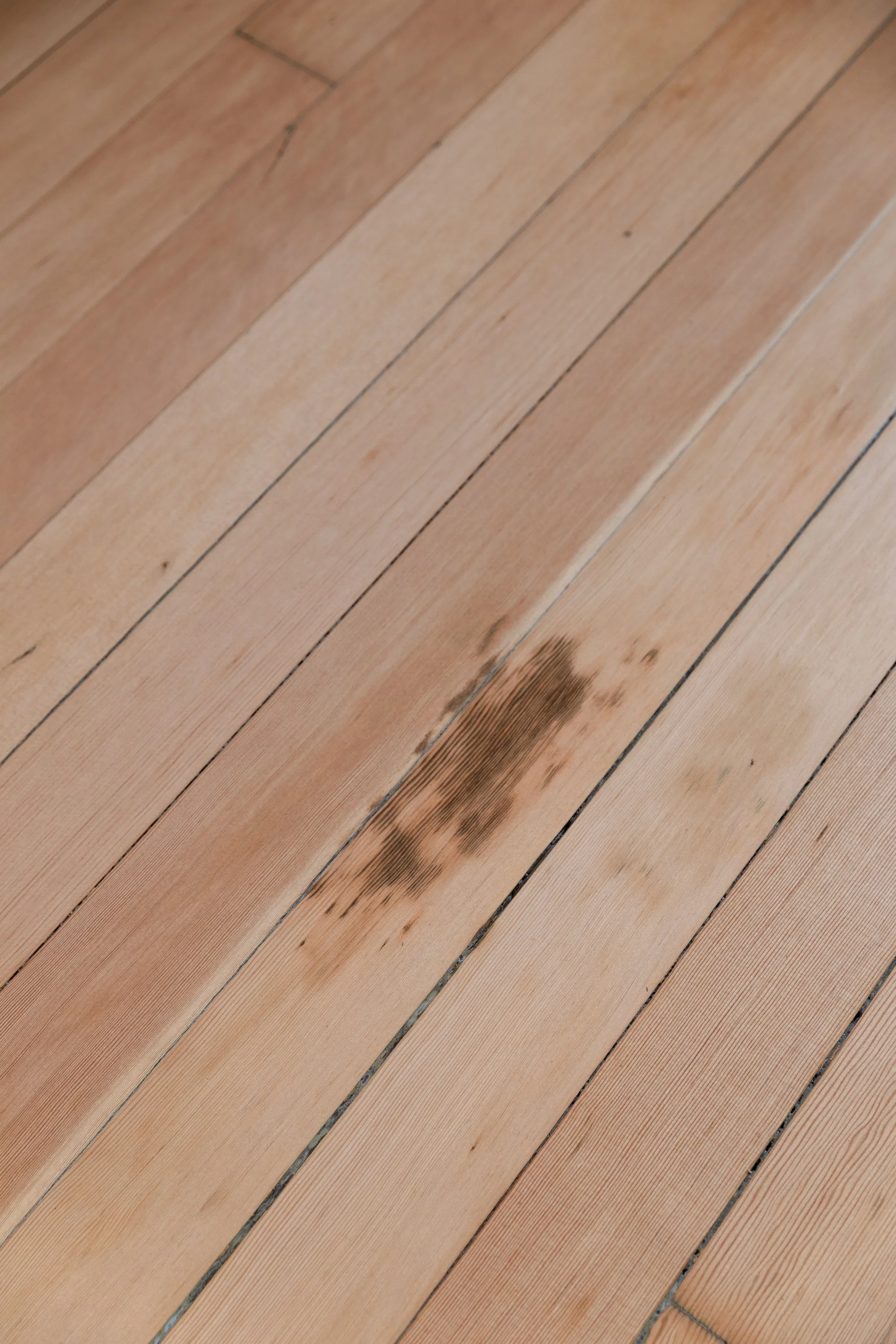 Natural dark stain and variation in original fir floors after refinishing