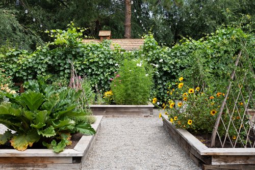 How to Have a Successful Garden with No Experience — The Grit and Polish