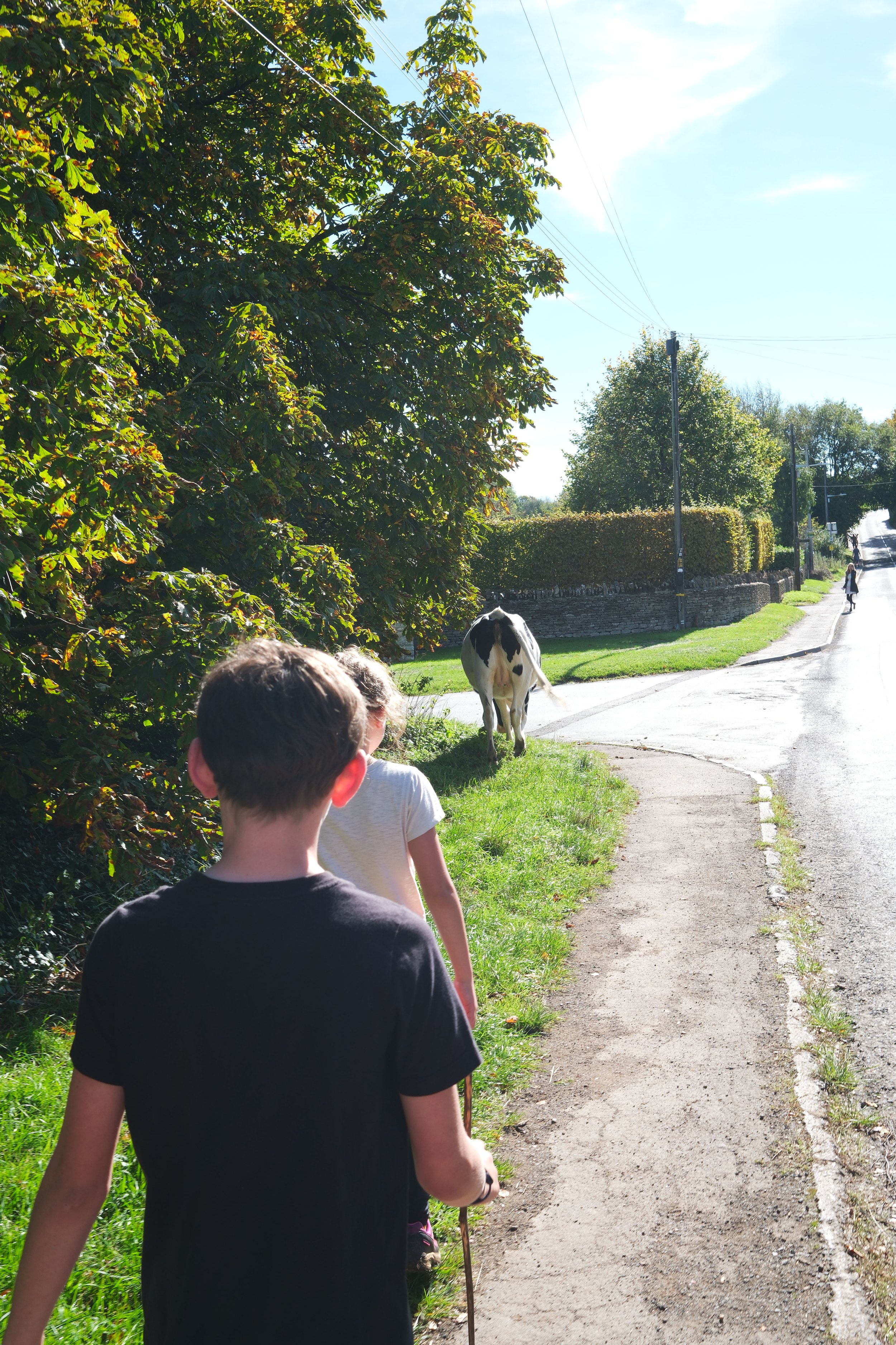 Countryside near Old Sodbury and Tormarton on the Cotswold Way