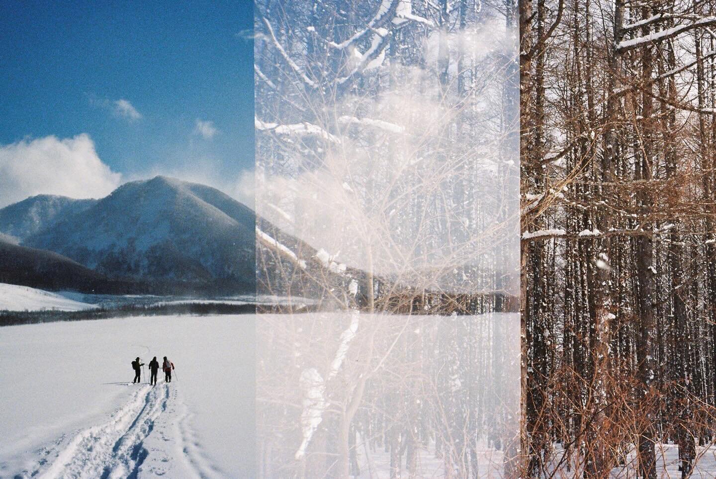 Some magic created on roll. Sometimes the mistakes lead to something way better than expected.  A beautiful  day hiking and skiing in Hokkaido, Niseko backcountry with @yutashimomura @seimenabt and @lueuek 🤗🤗 
Just got the results of what I shot in