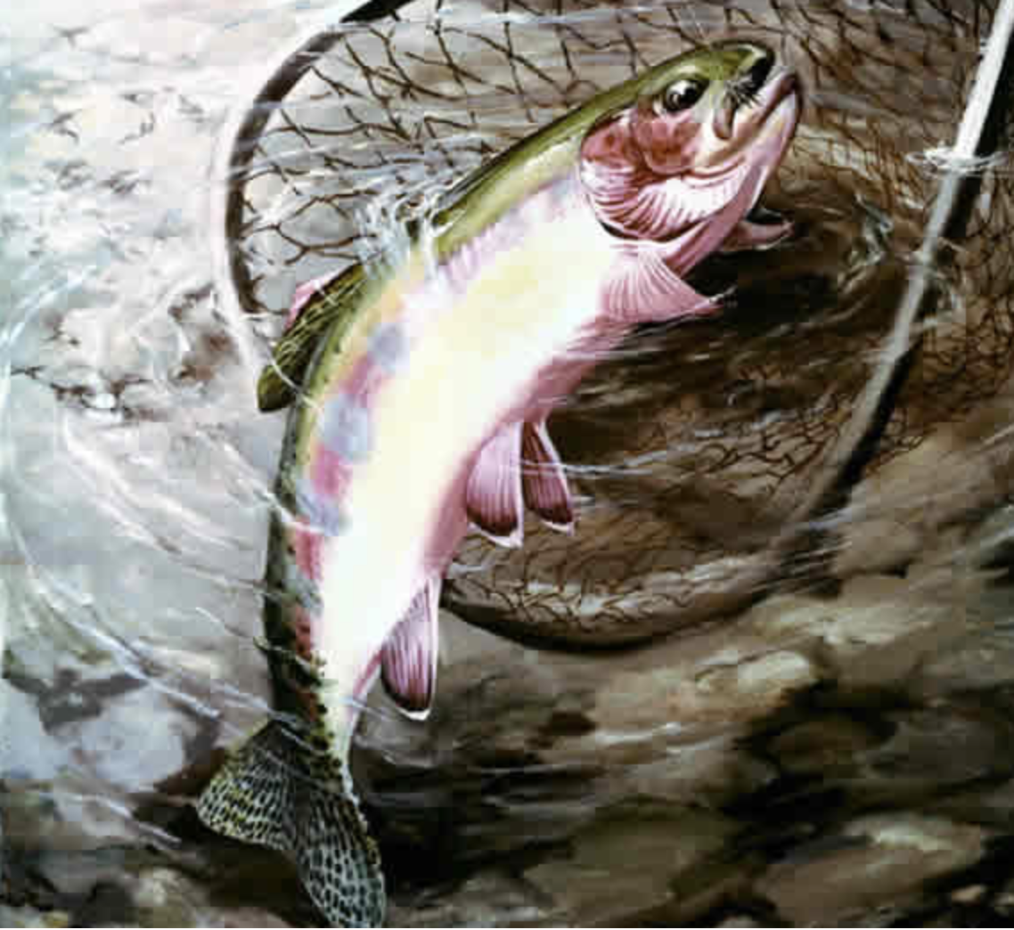 Screen Shot 2019-05-02 at 9.14.27 AM.png