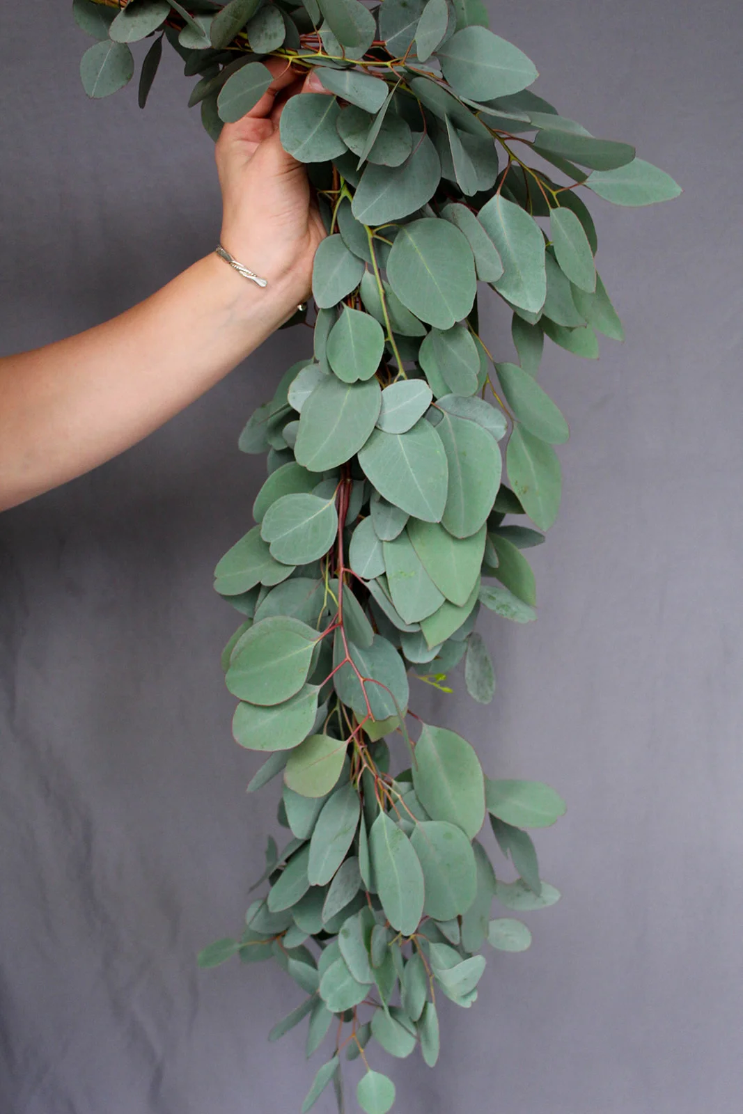 Eucalyptus Garland