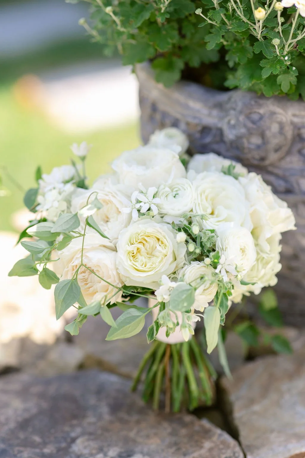 Bogle Wedding 2022 (104).JPG