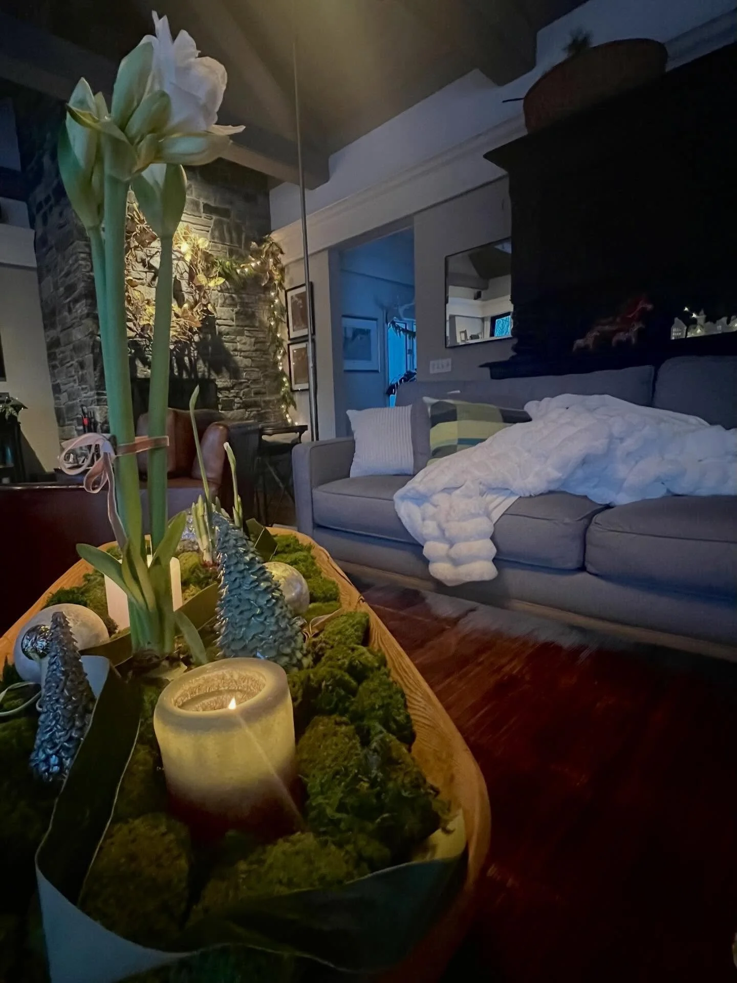 Wishing you cozy holiday vibes from our home to yours!