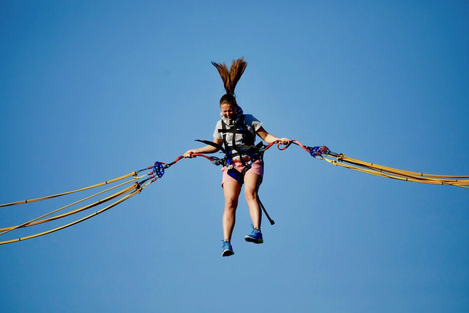 Bungy.jpg