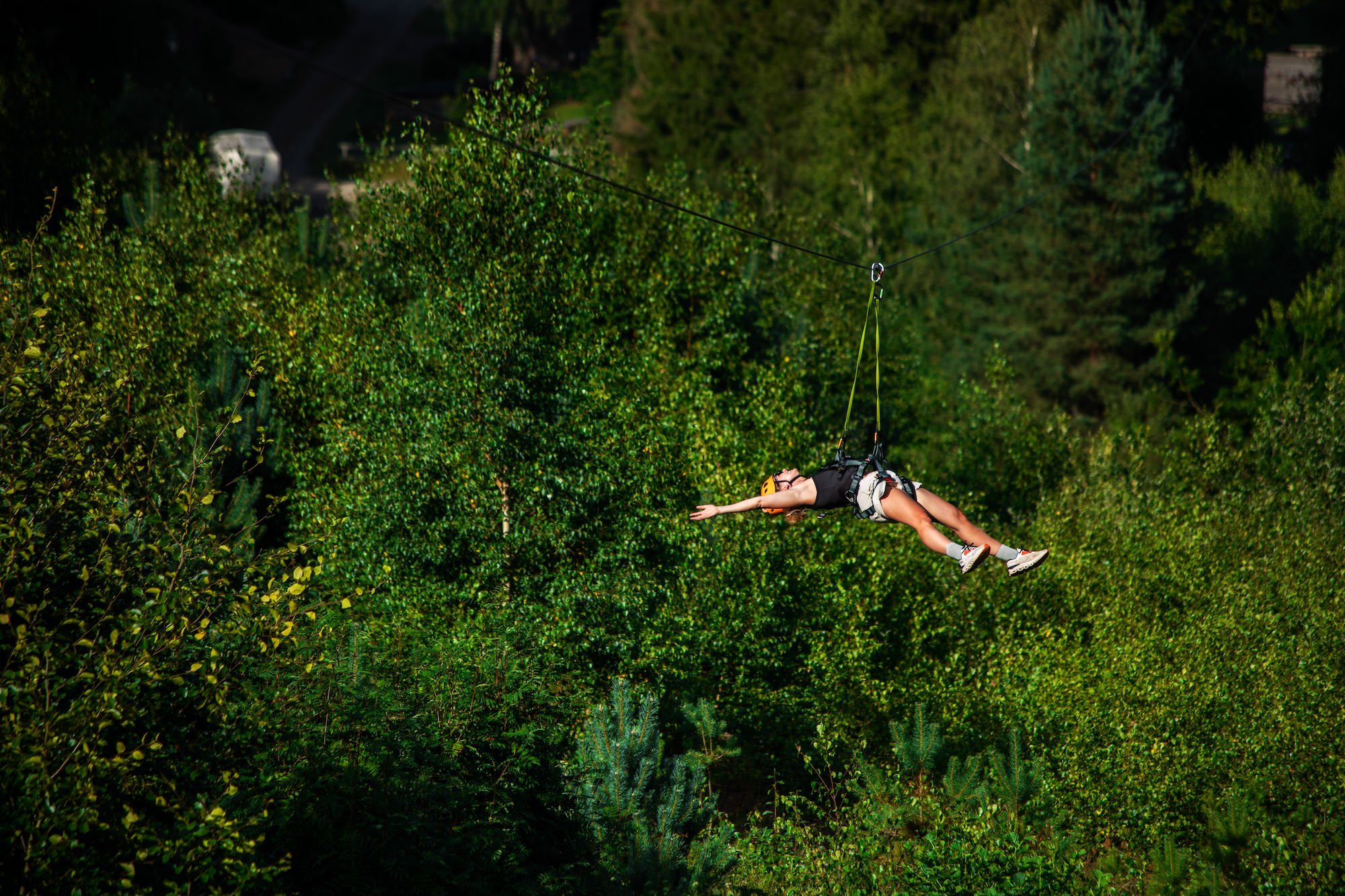Person som åker zipline över en skog med gröna träd.