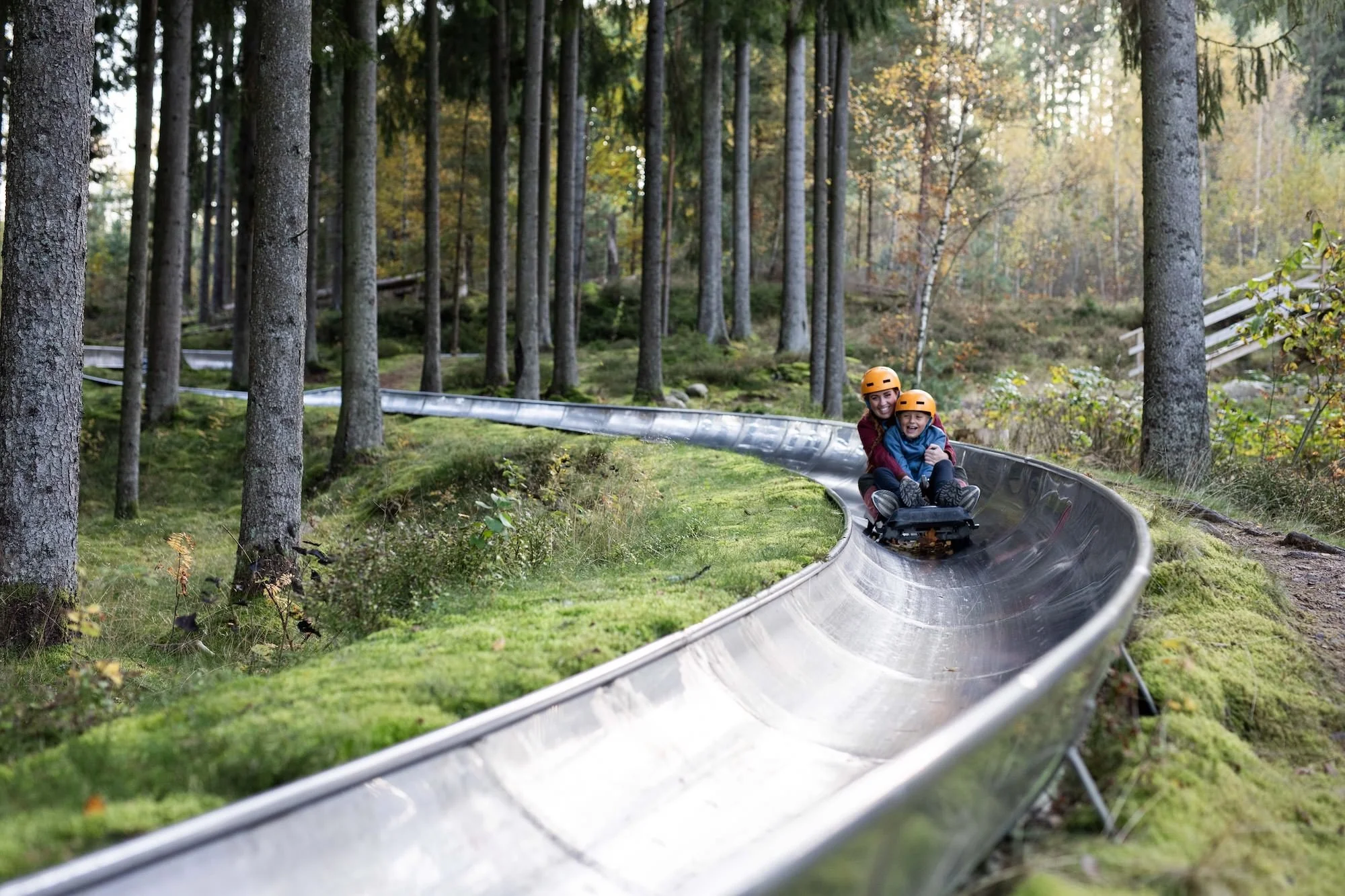 Två personer, en vuxen och ett barn, åker rodel nedför en backe i en skog med träd och grön vegetation, båda bär orange hjälm.