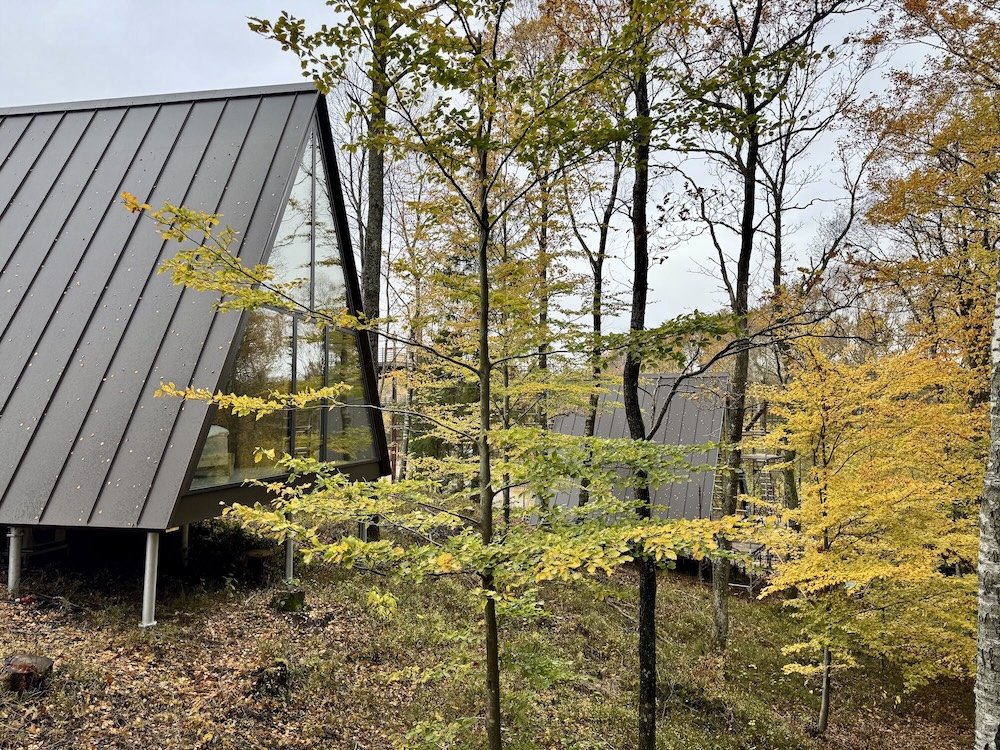 Ett modernt hus med plåttak omgivet av höstfärgade träd i en skog.