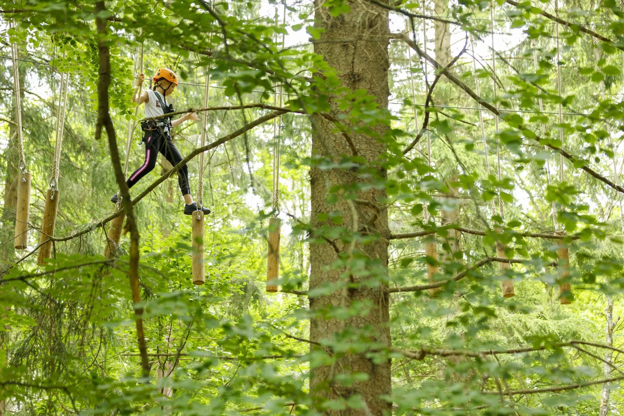 Barn som går på en höghöjdsbana i skogen, bär hjälm och sele.