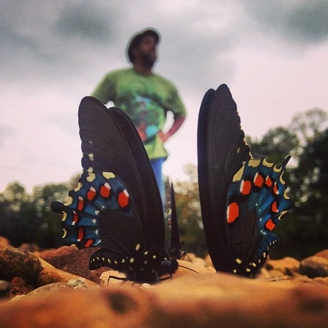 Animal Tracking - 2025