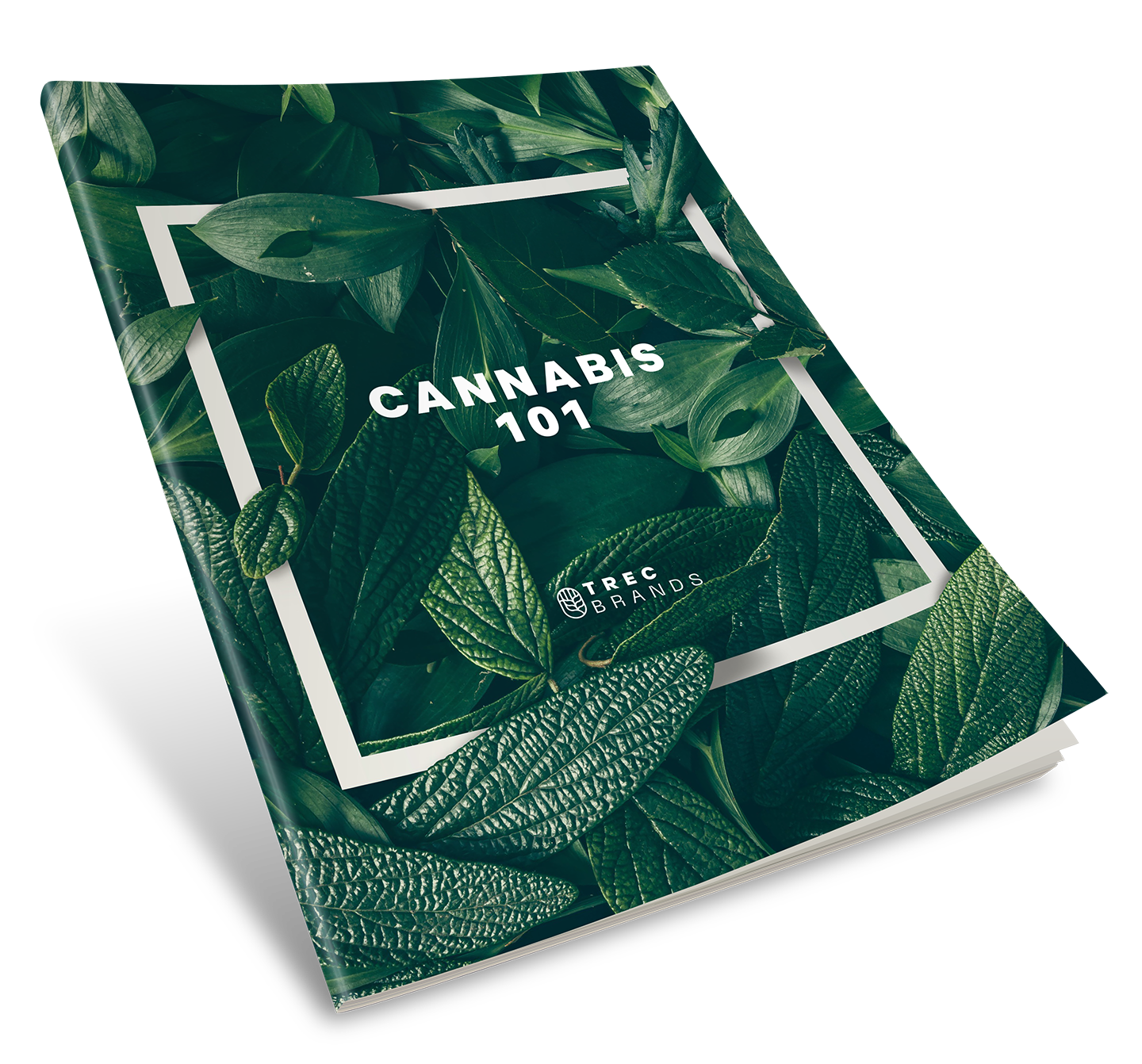 Cannabis101_cvr.png