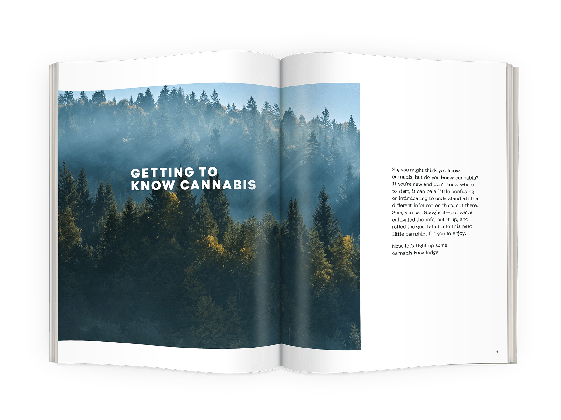 Cannabis101_spread1.png