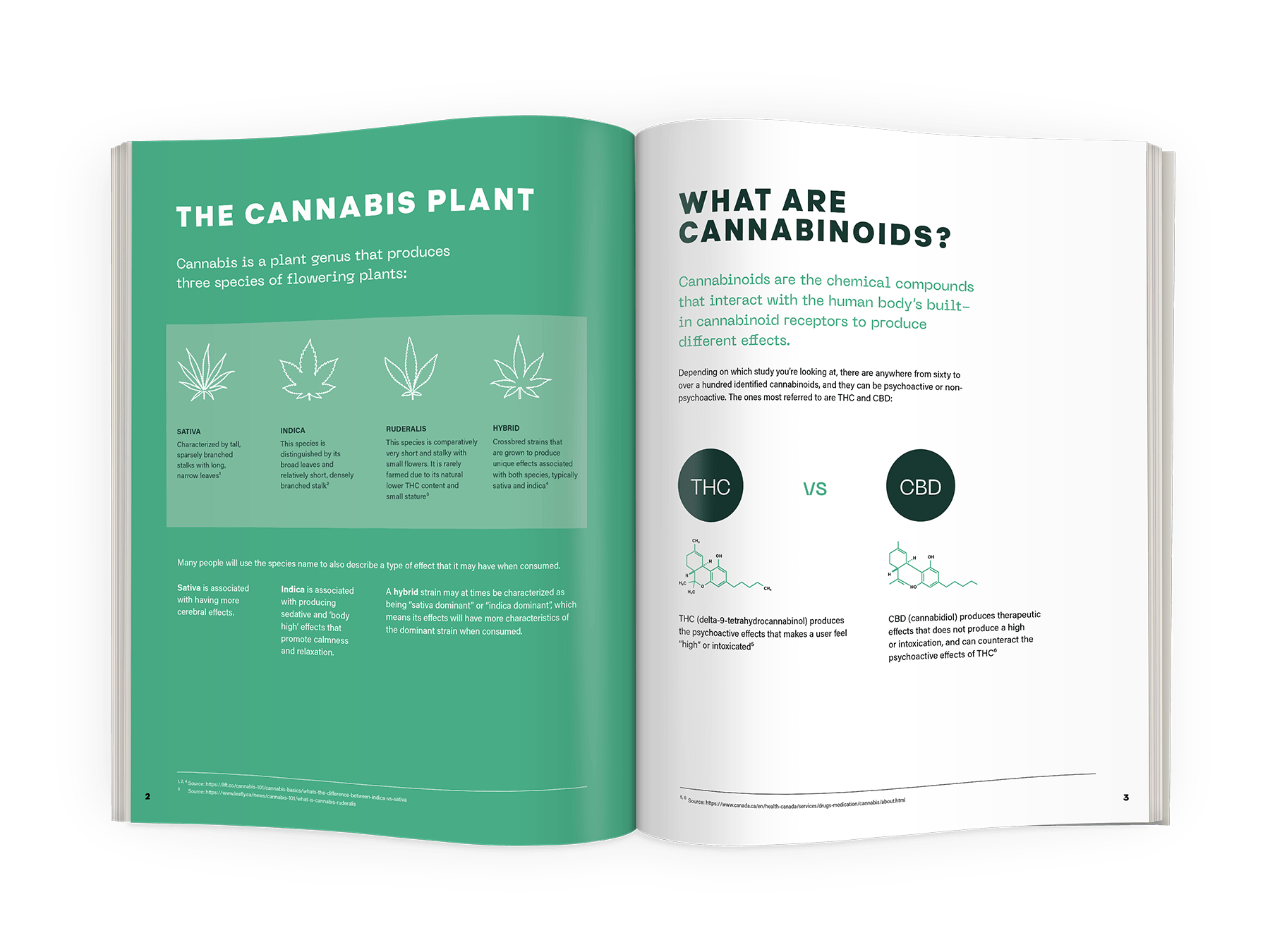 Cannabis101_spread2.png