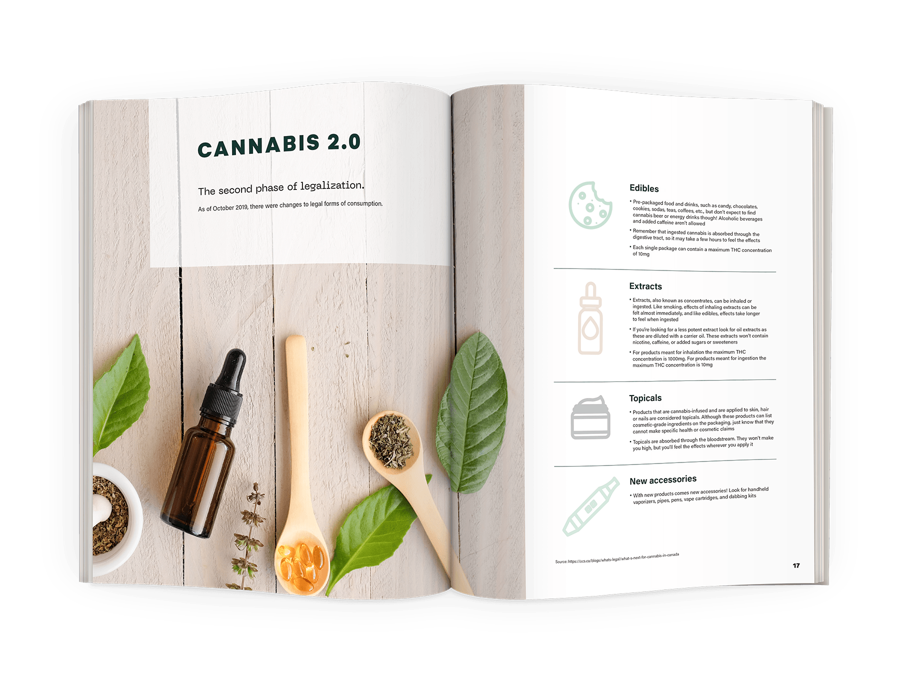 Cannabis101_spread4.png