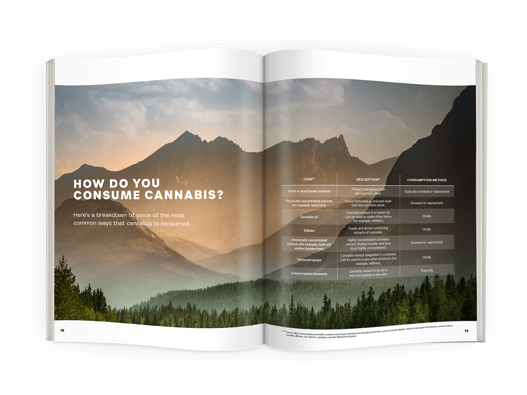 Cannabis101_spread3.png