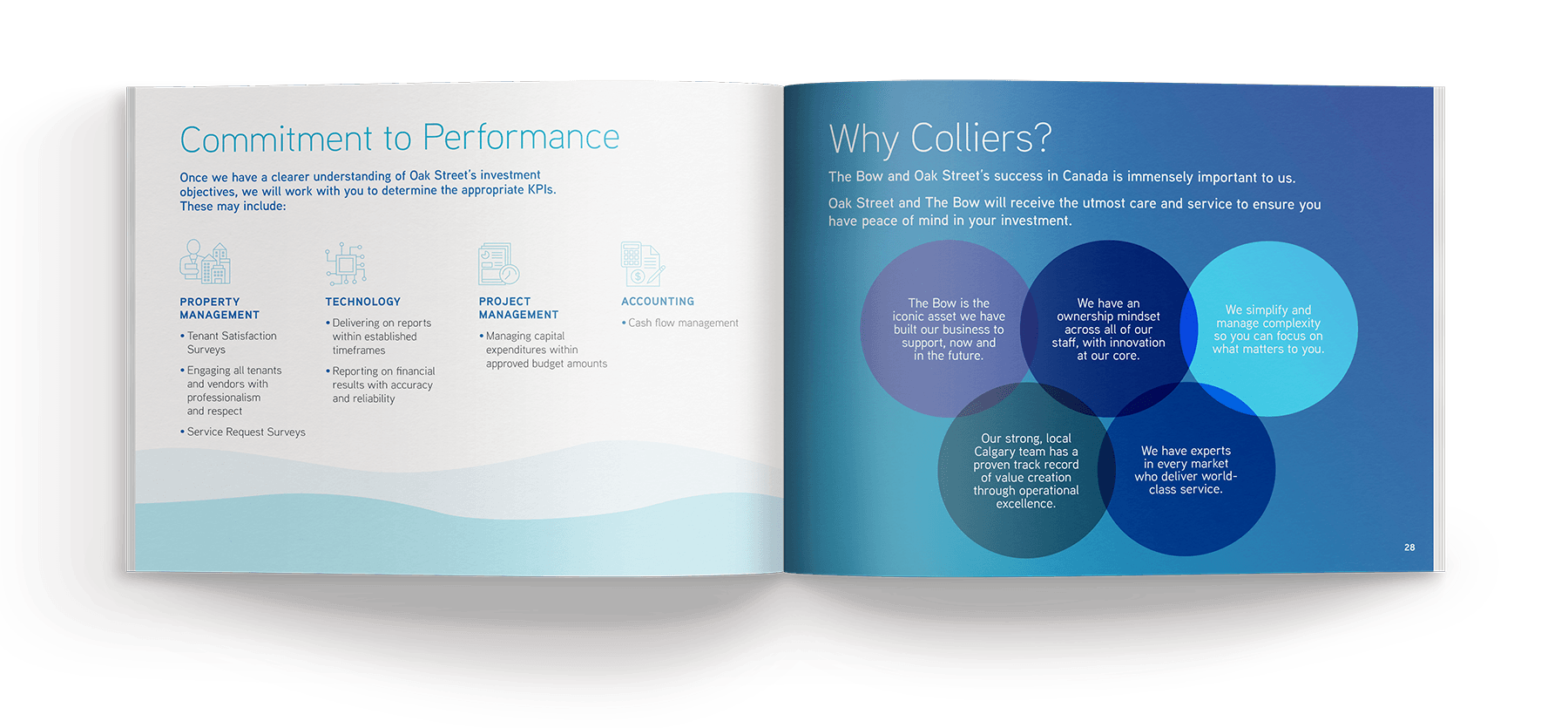 The Bow_spread_4.png