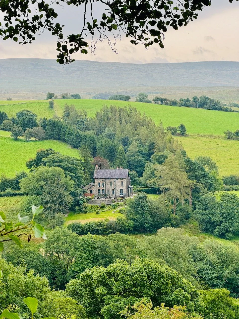 Ghyll2.jpg