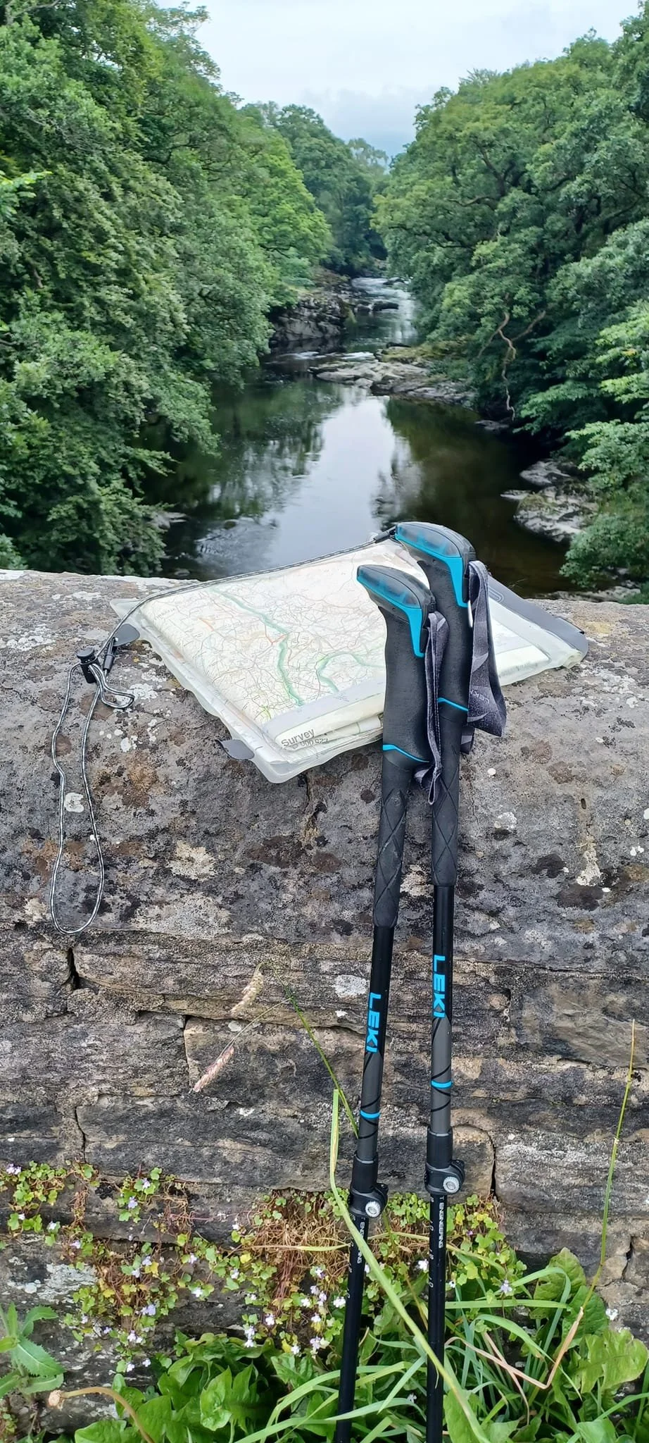 navigation2.jpg