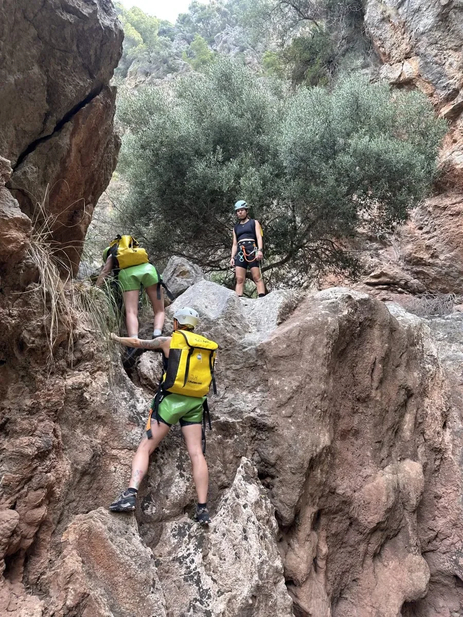 Mallorca11.webp