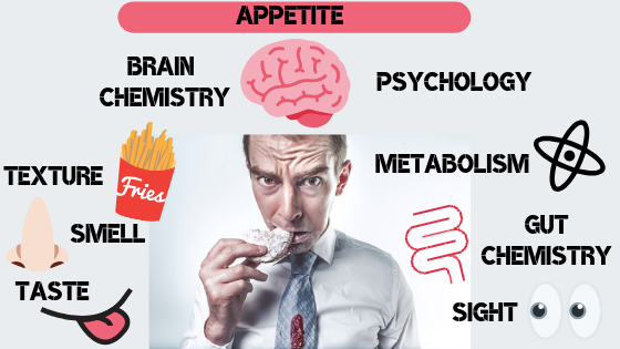Factors that Impact Hunger, Thirst, &amp; Satiety