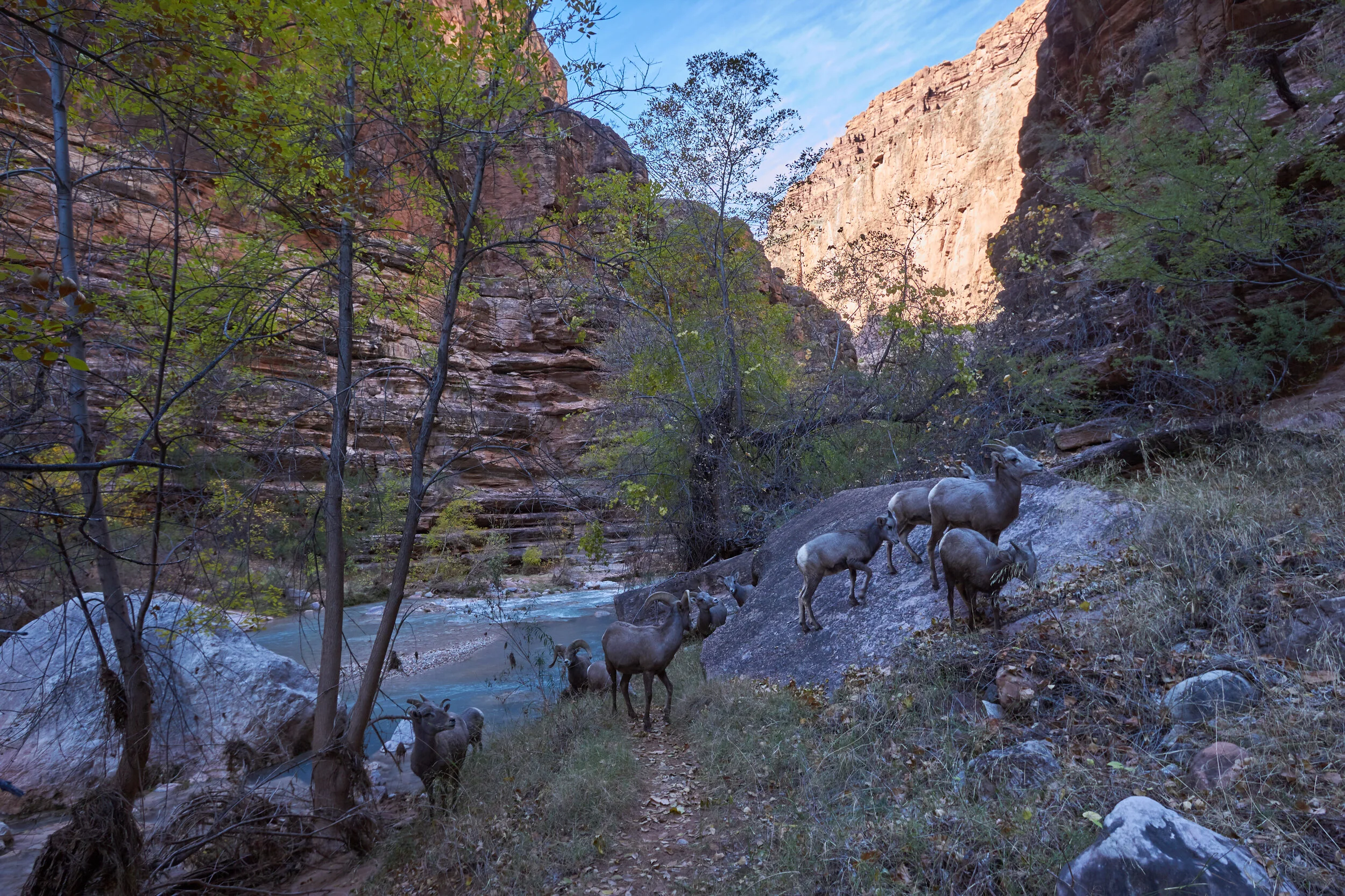 canyon_74.jpg