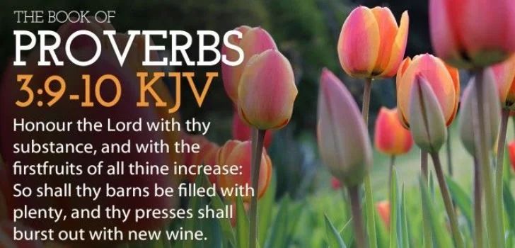 Proverbs 3 9-10.JPG