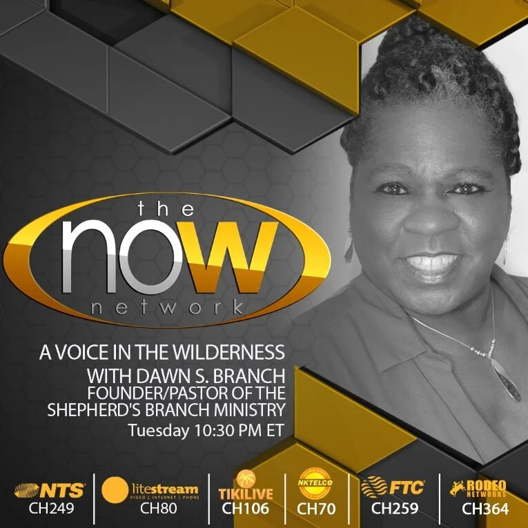 WOW Network Announcement.jpg