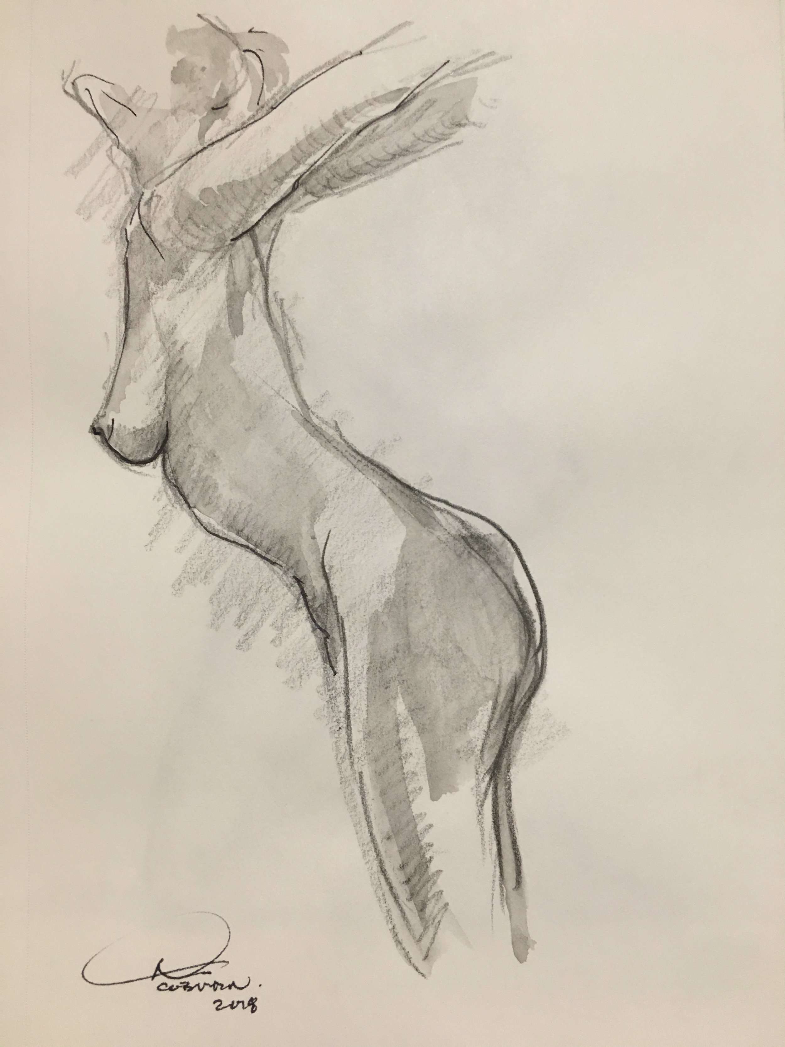 Nude - Graphite n' Wash 22cmx17cm €PRICES ON REQUEST€