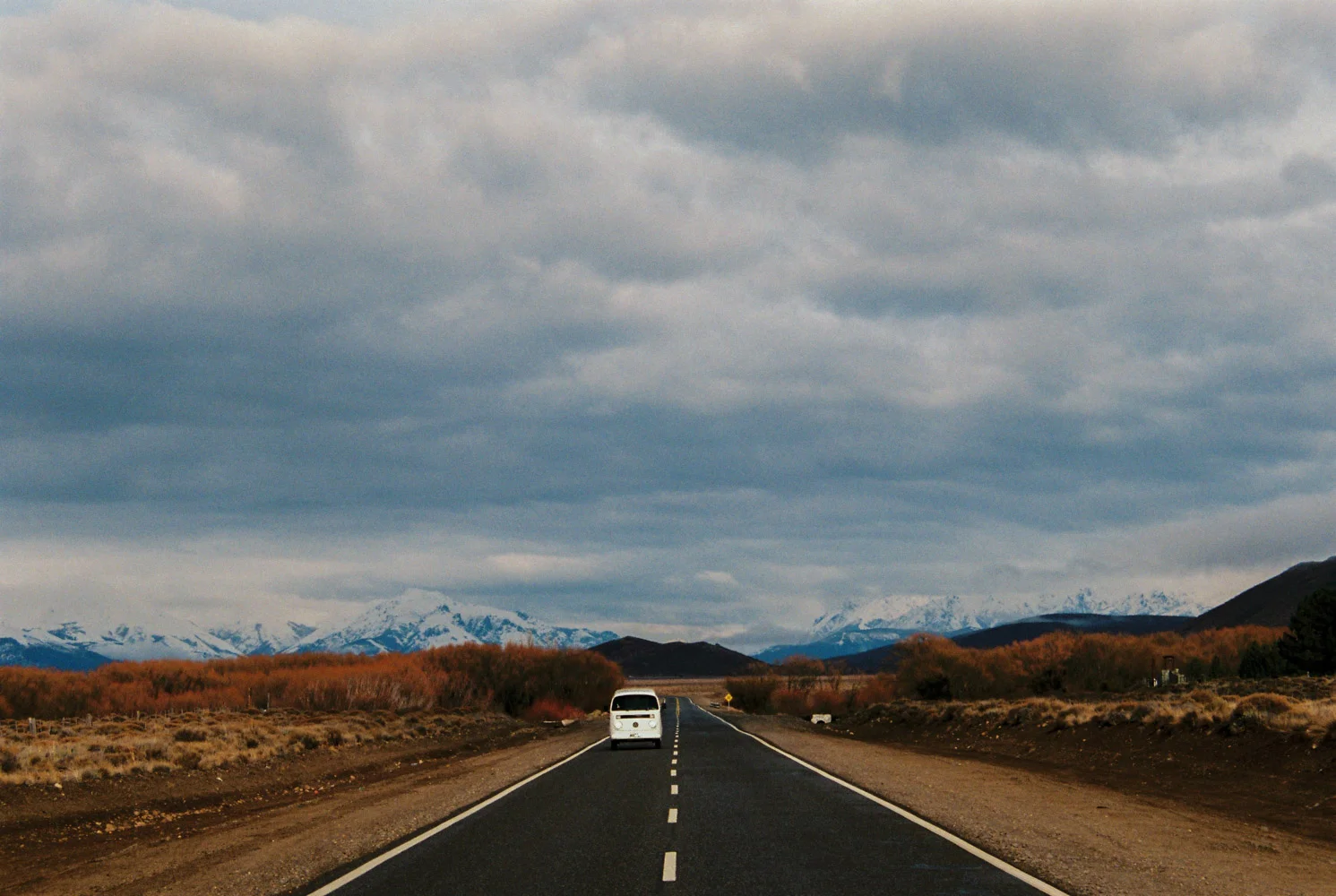 liwa-web-2.jpg