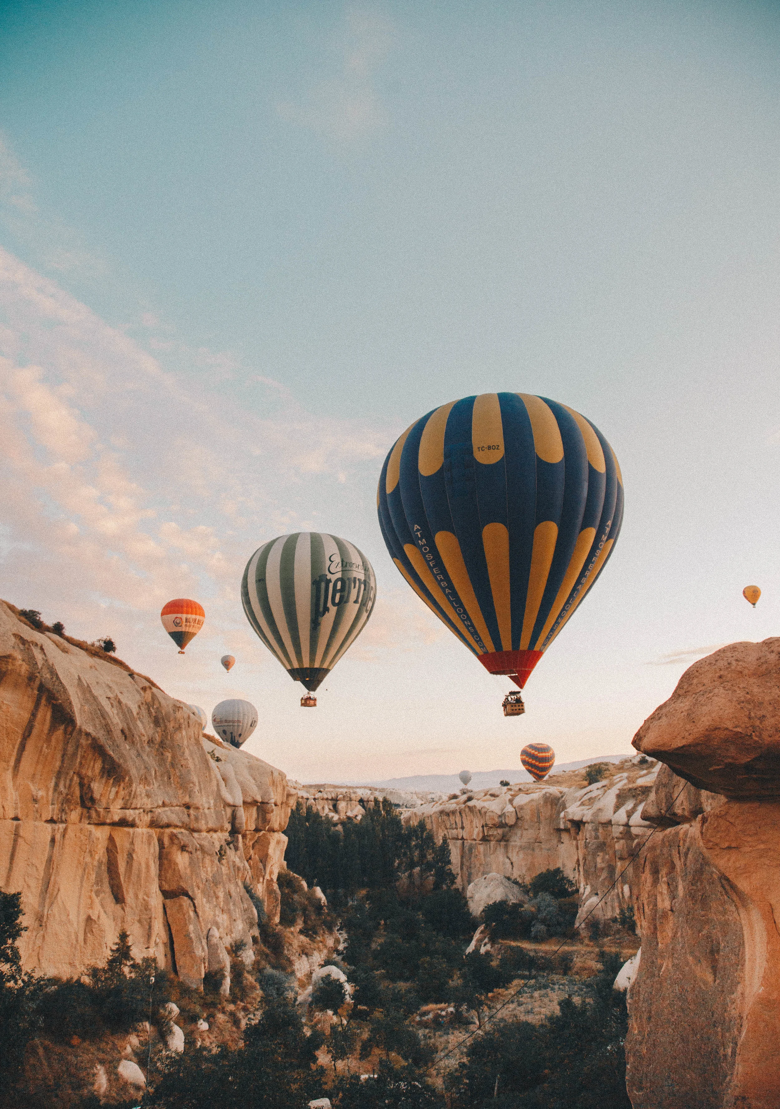 Life is worth living