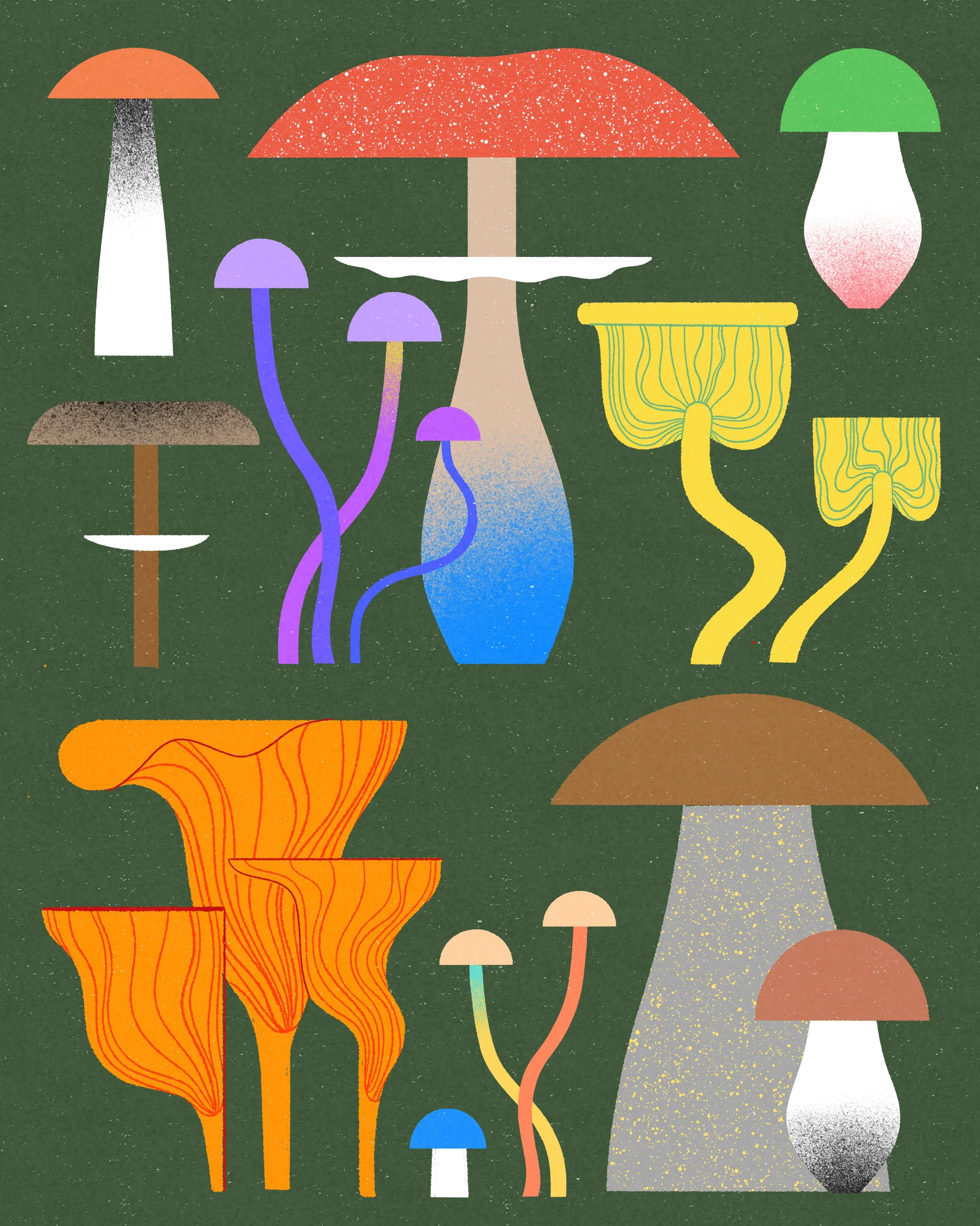 mushroom_ig.jpg