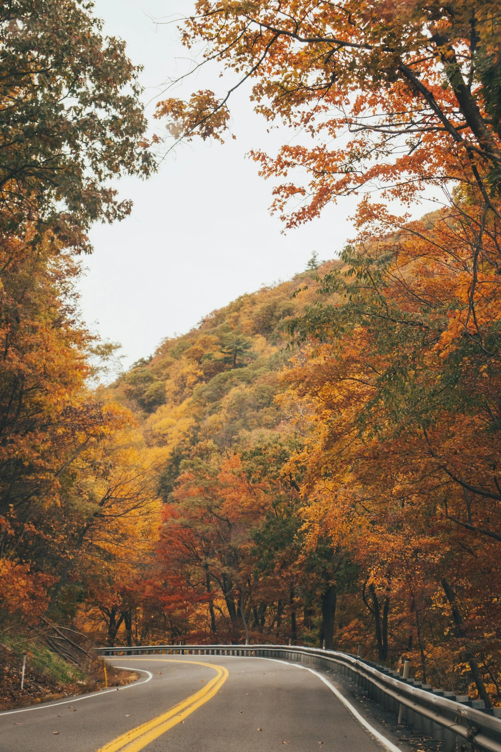 Happy Fall from all of us at Asheville Poverty Initiative!