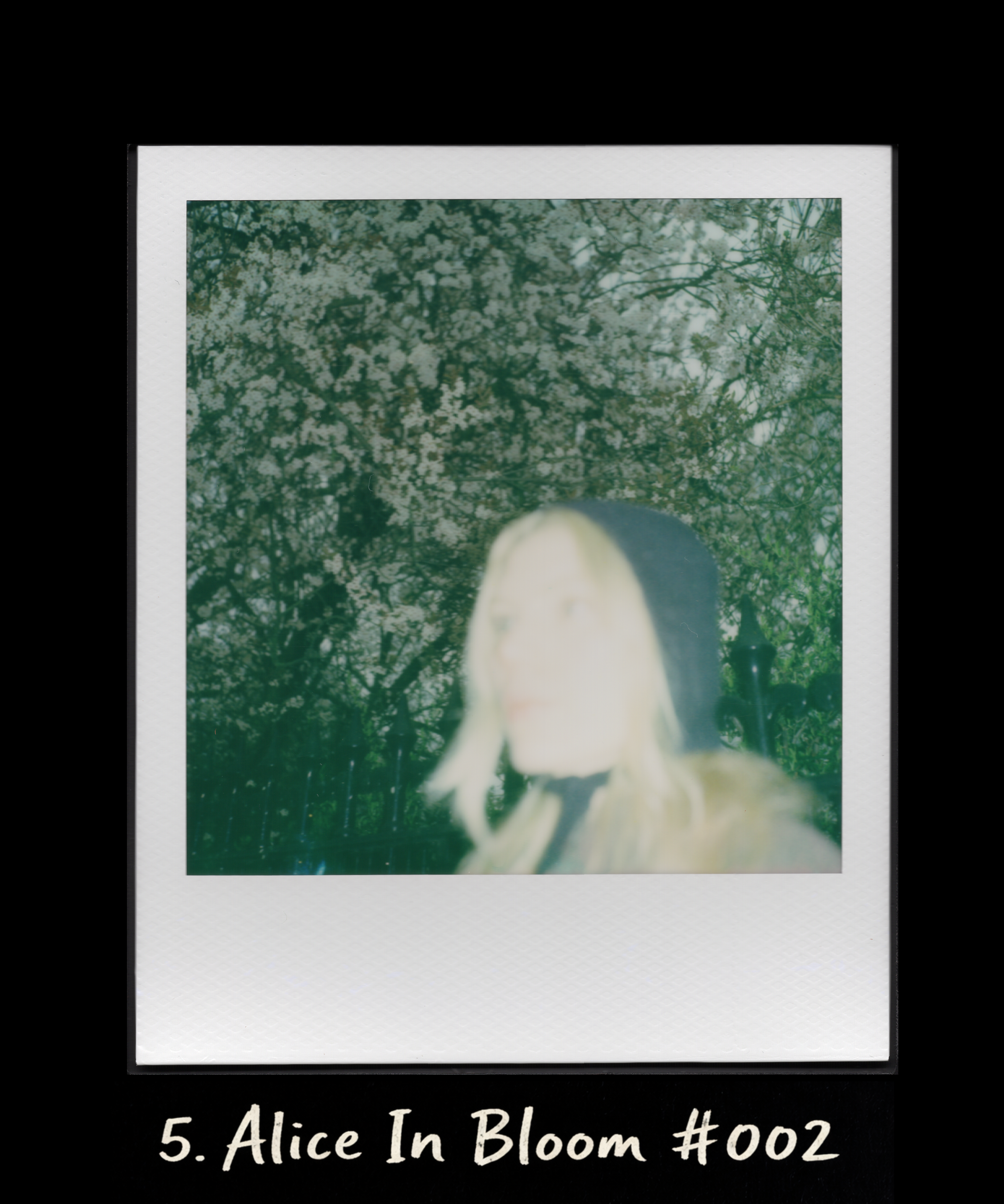 Alice In Bloom - FONT.png