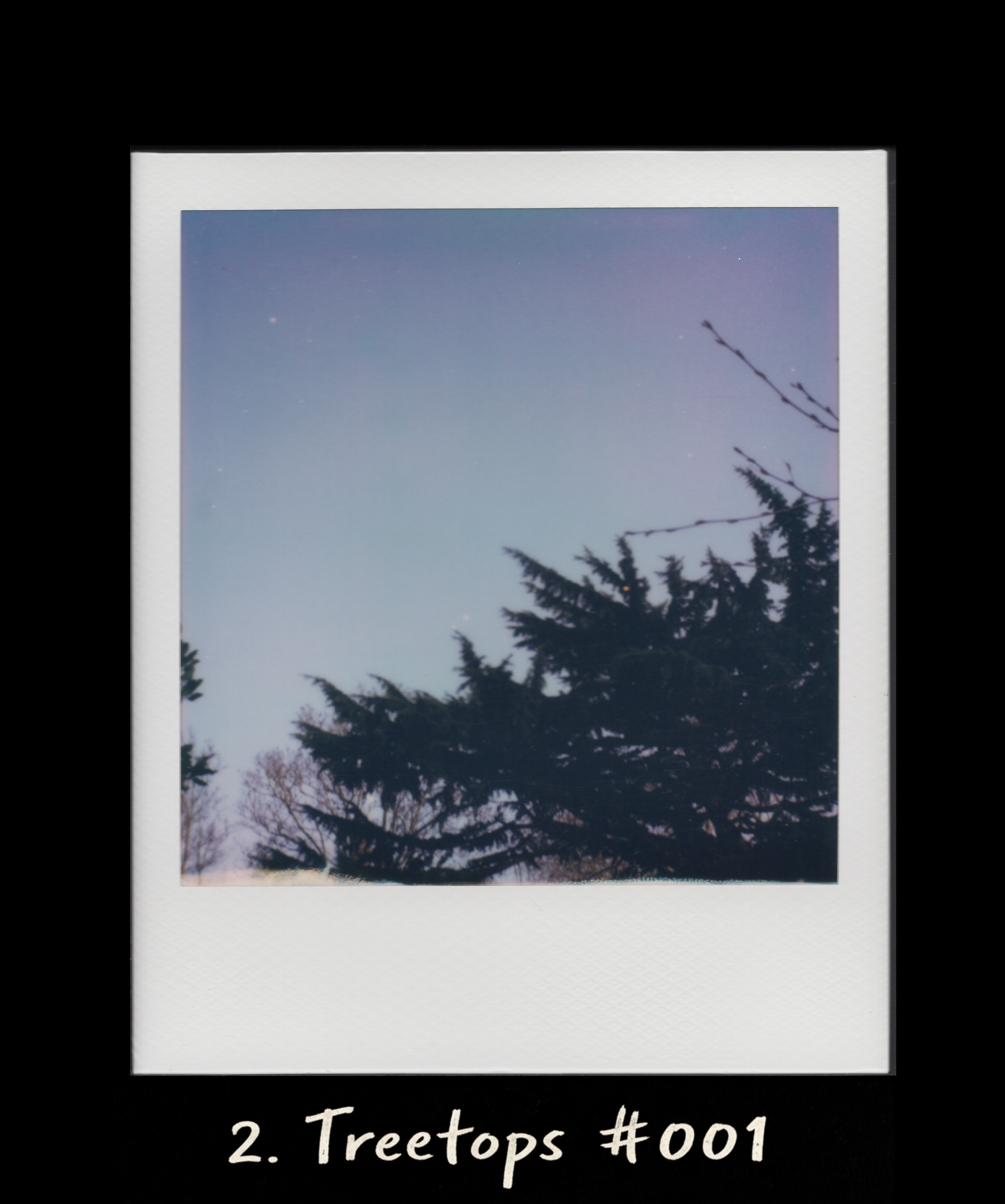 Treetops 001 - FONT.png