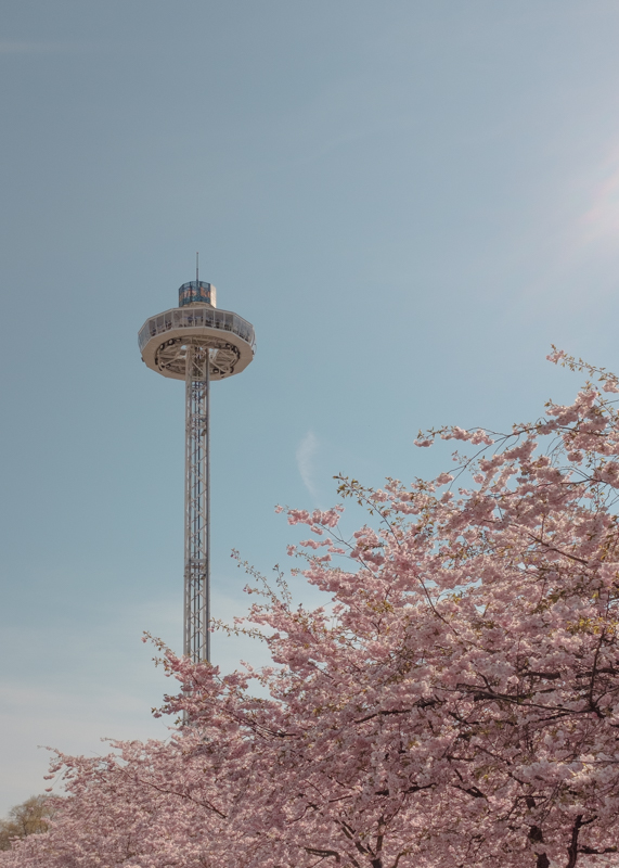 tower-flower-stockholm.jpg