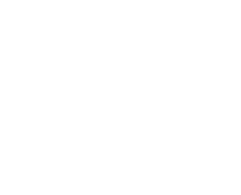 VB_logo_WHITE_transparent.png