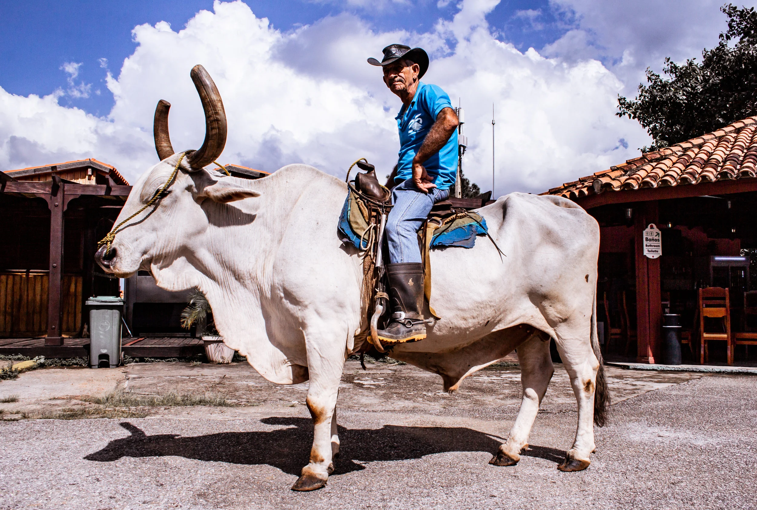Brett Robert, El Jinete del Toro/The Bullrider. 2018, digital photography.