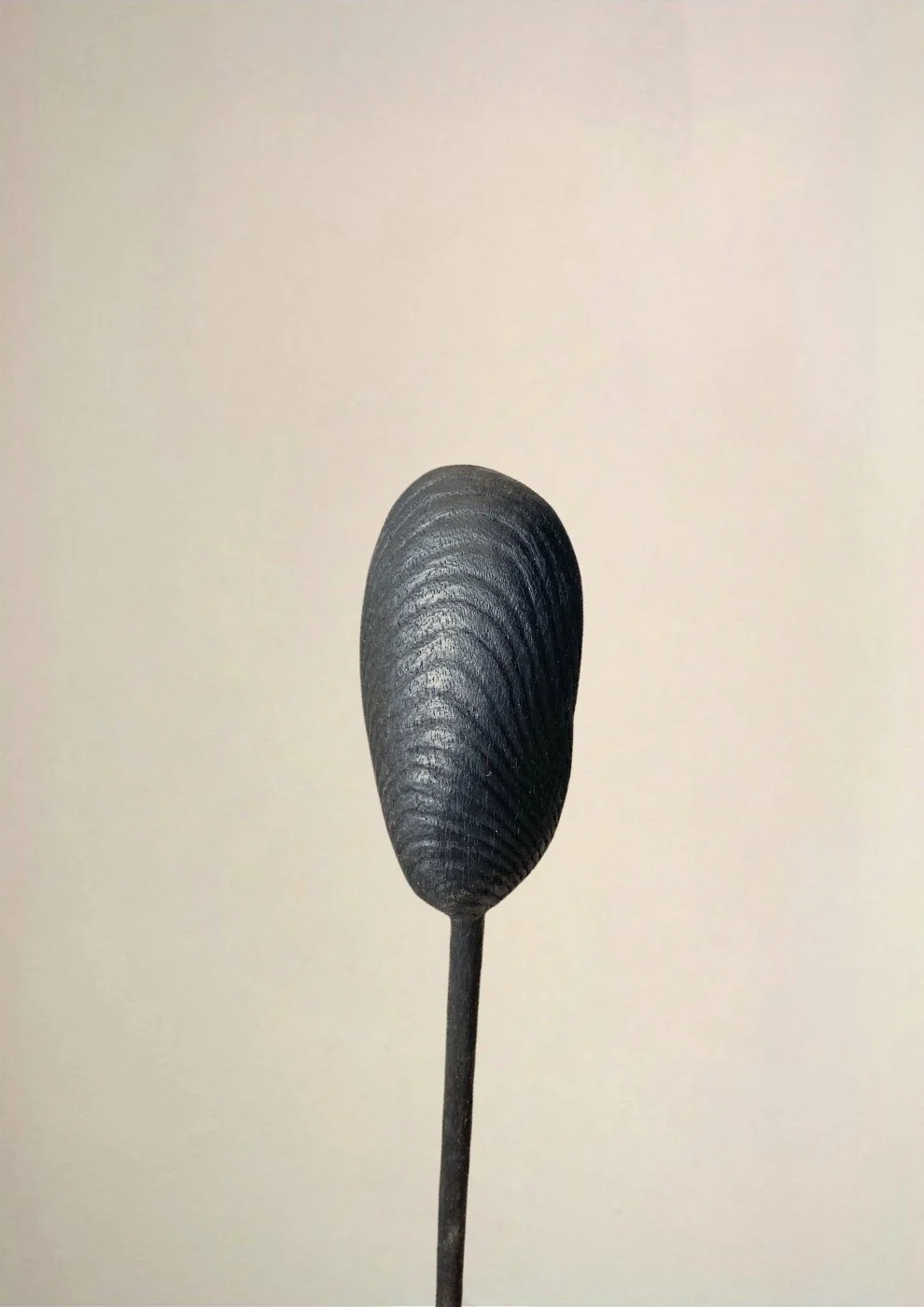Large Mussel Shell