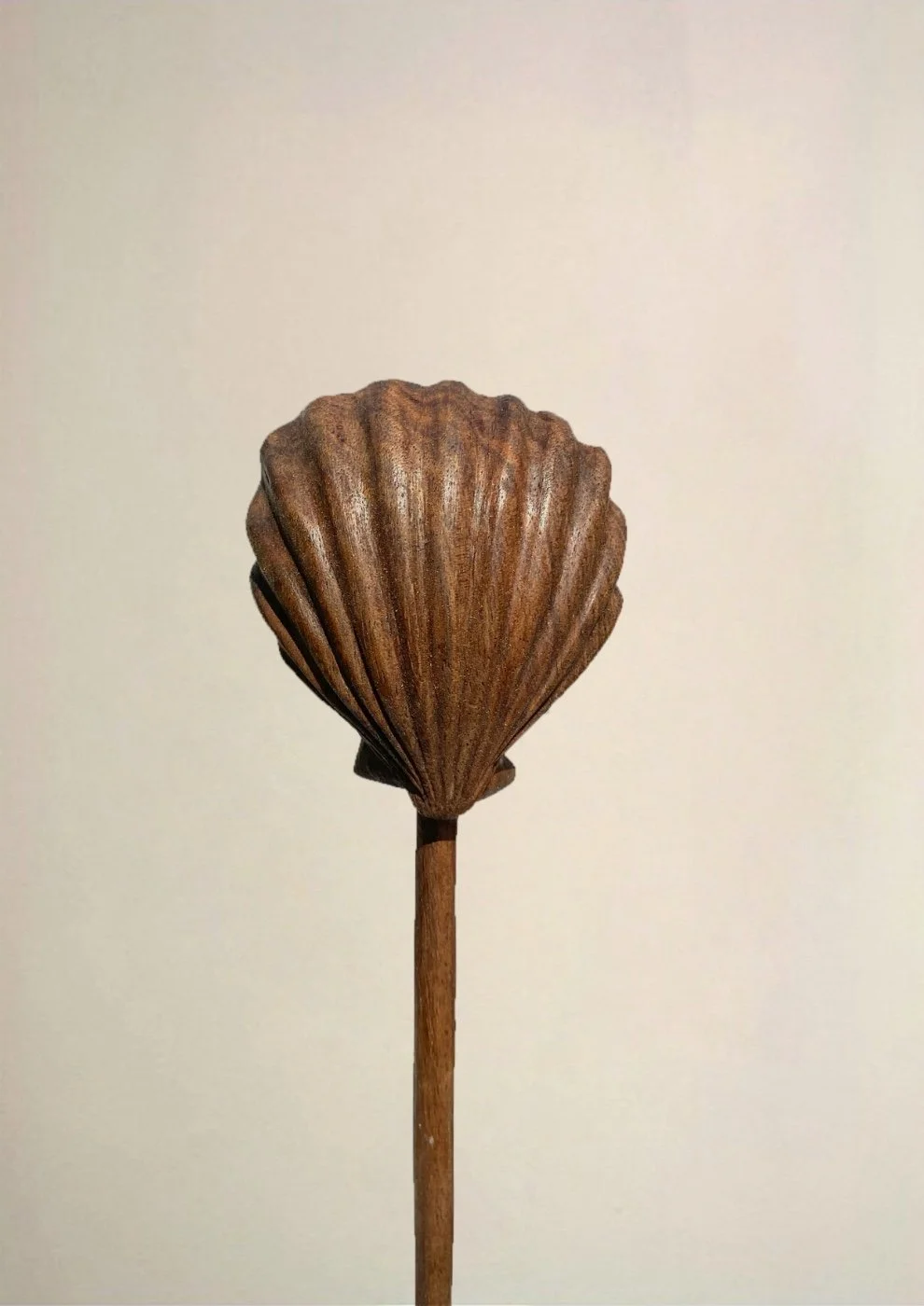 Large Classic Shell