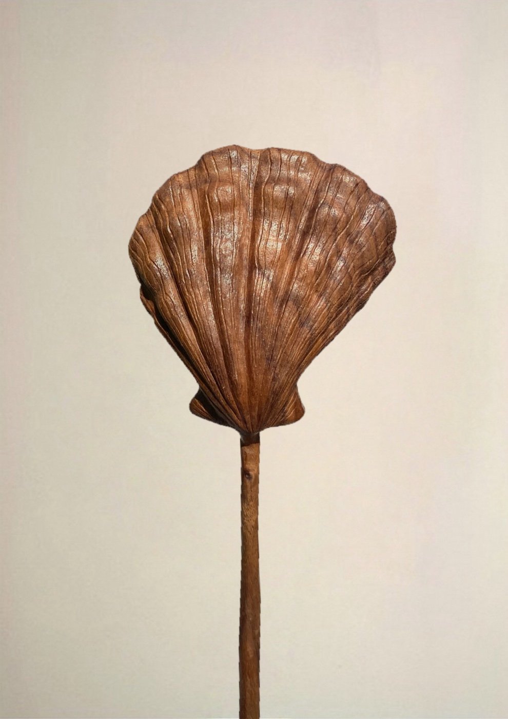 Large Clam Shell